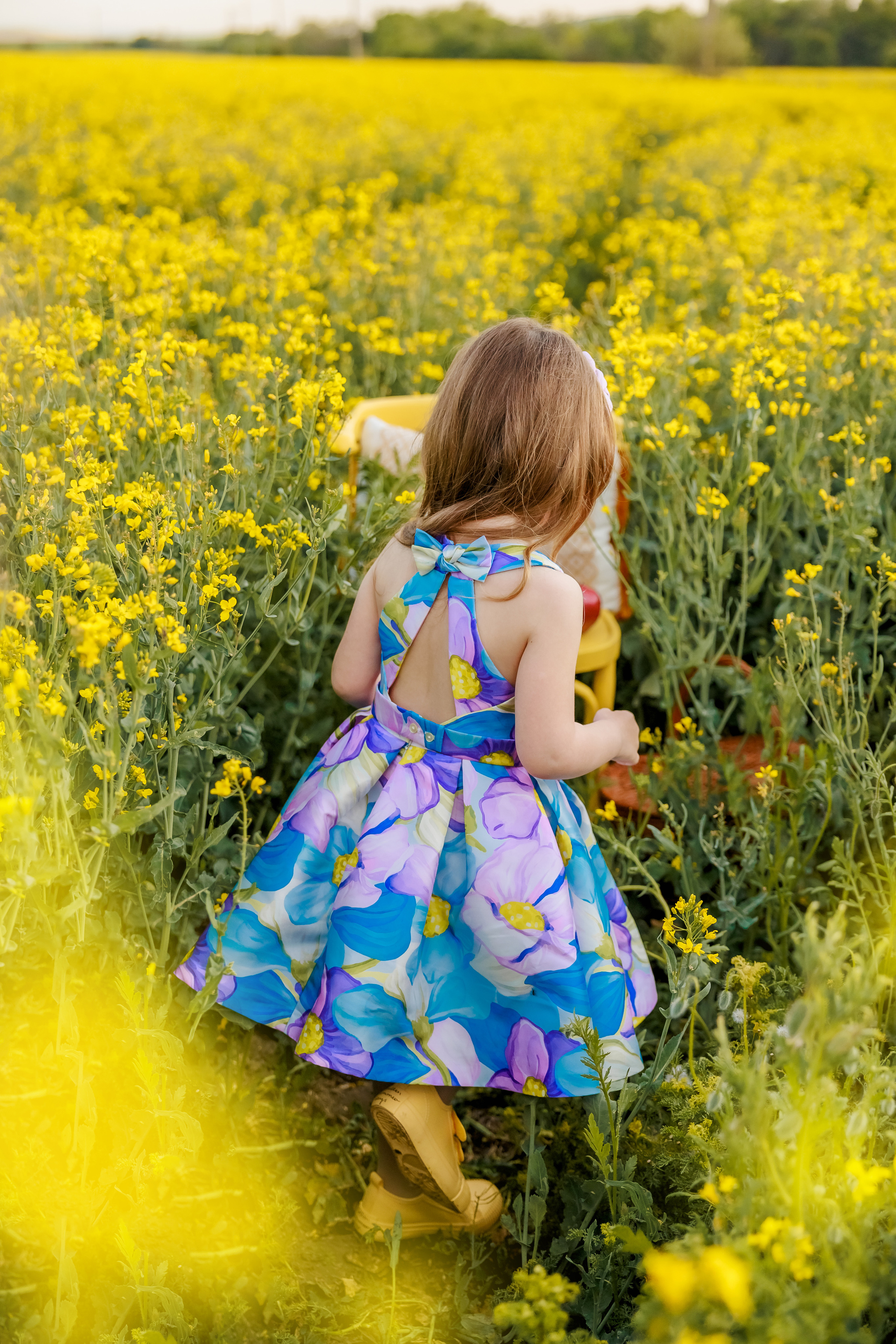 Когато цъфти рапицата. Фотограф Ирина Йотова