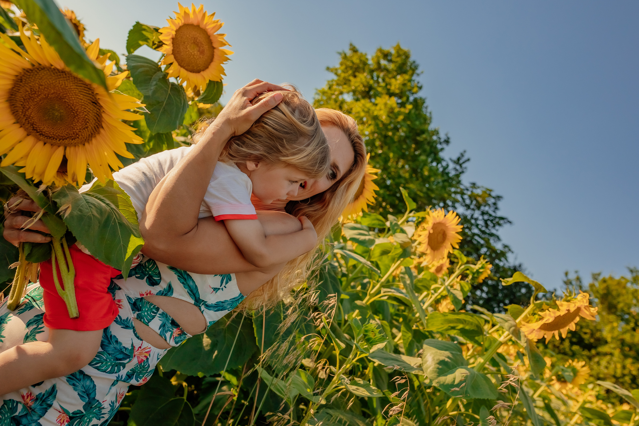 Фоторазходка Слънчогледи. Фотограф Ирина Йотова