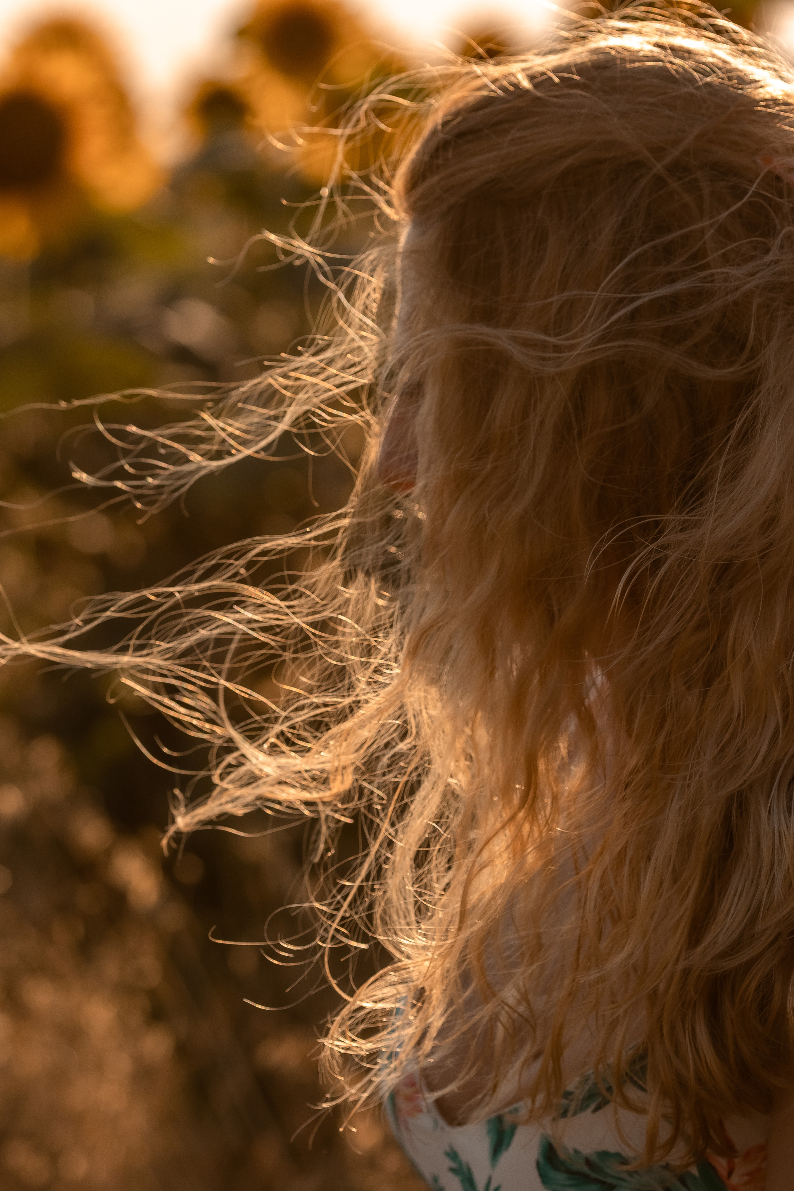 Фоторазходка Слънчогледи. Фотограф Ирина Йотова