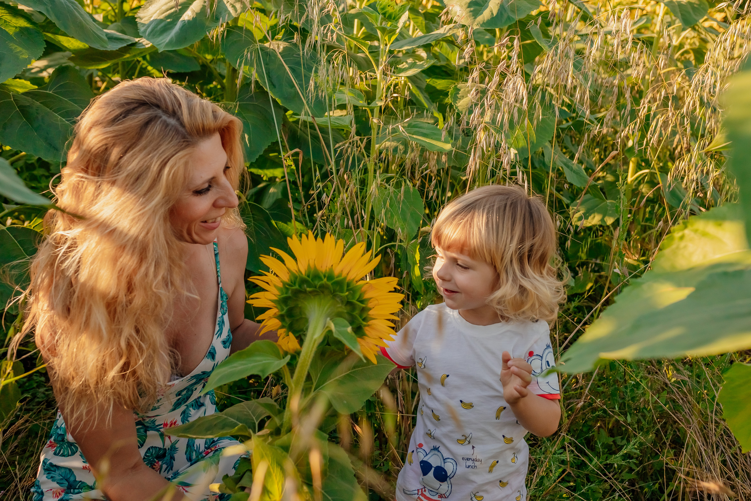 Фоторазходка Слънчогледи. Фотограф Ирина Йотова