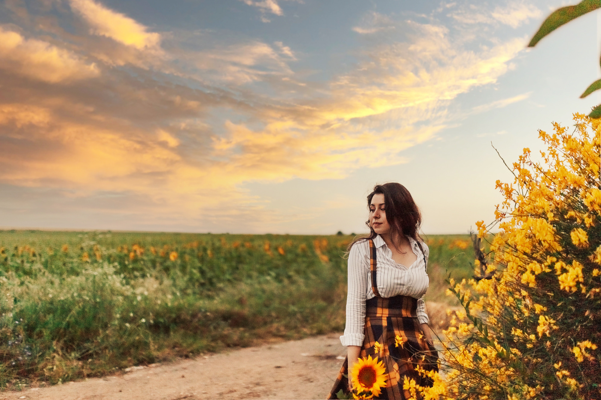 Фоторазходка Слънчогледи. Фотограф Ирина Йотова