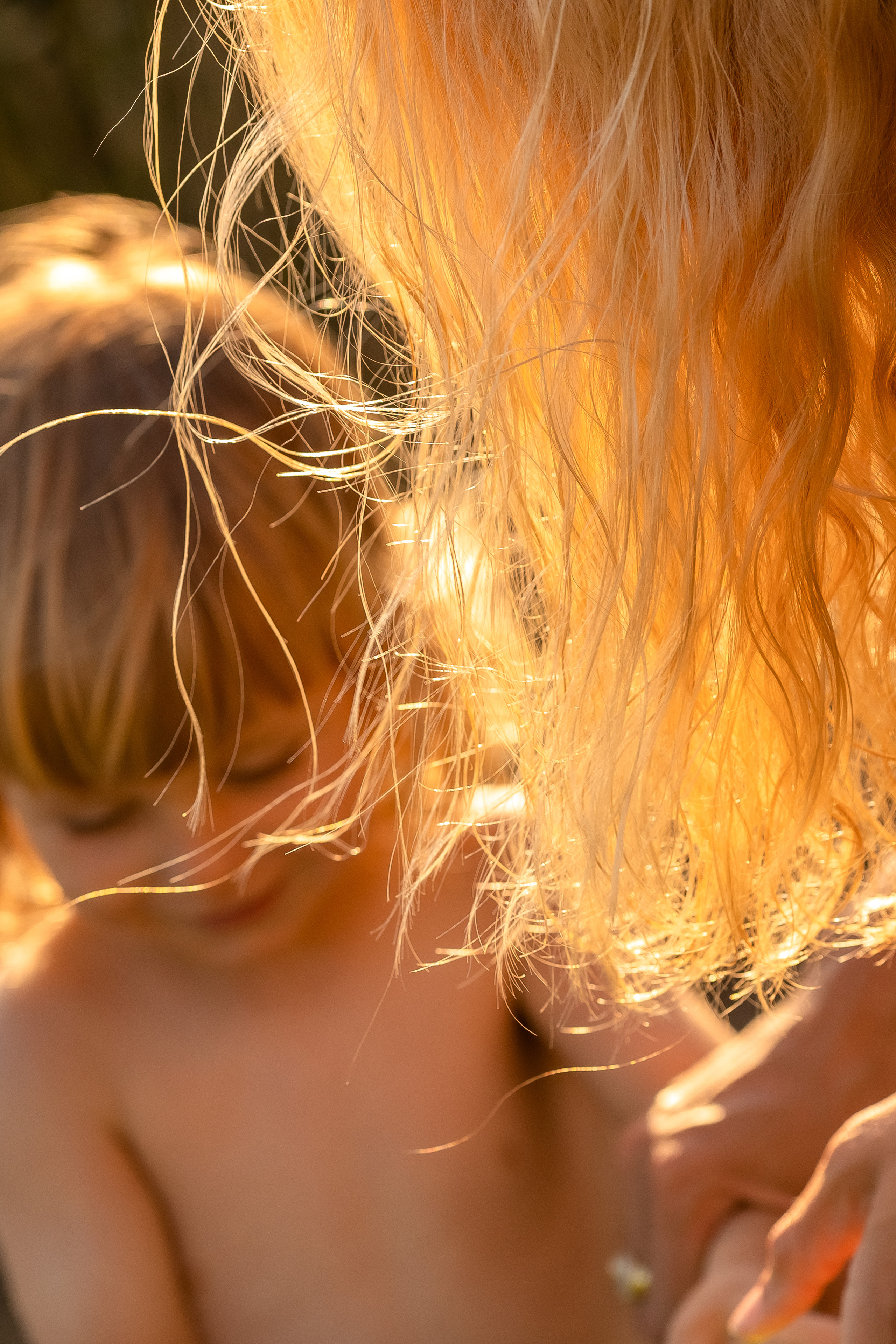 Фоторазходка Слънчогледи. Фотограф Ирина Йотова