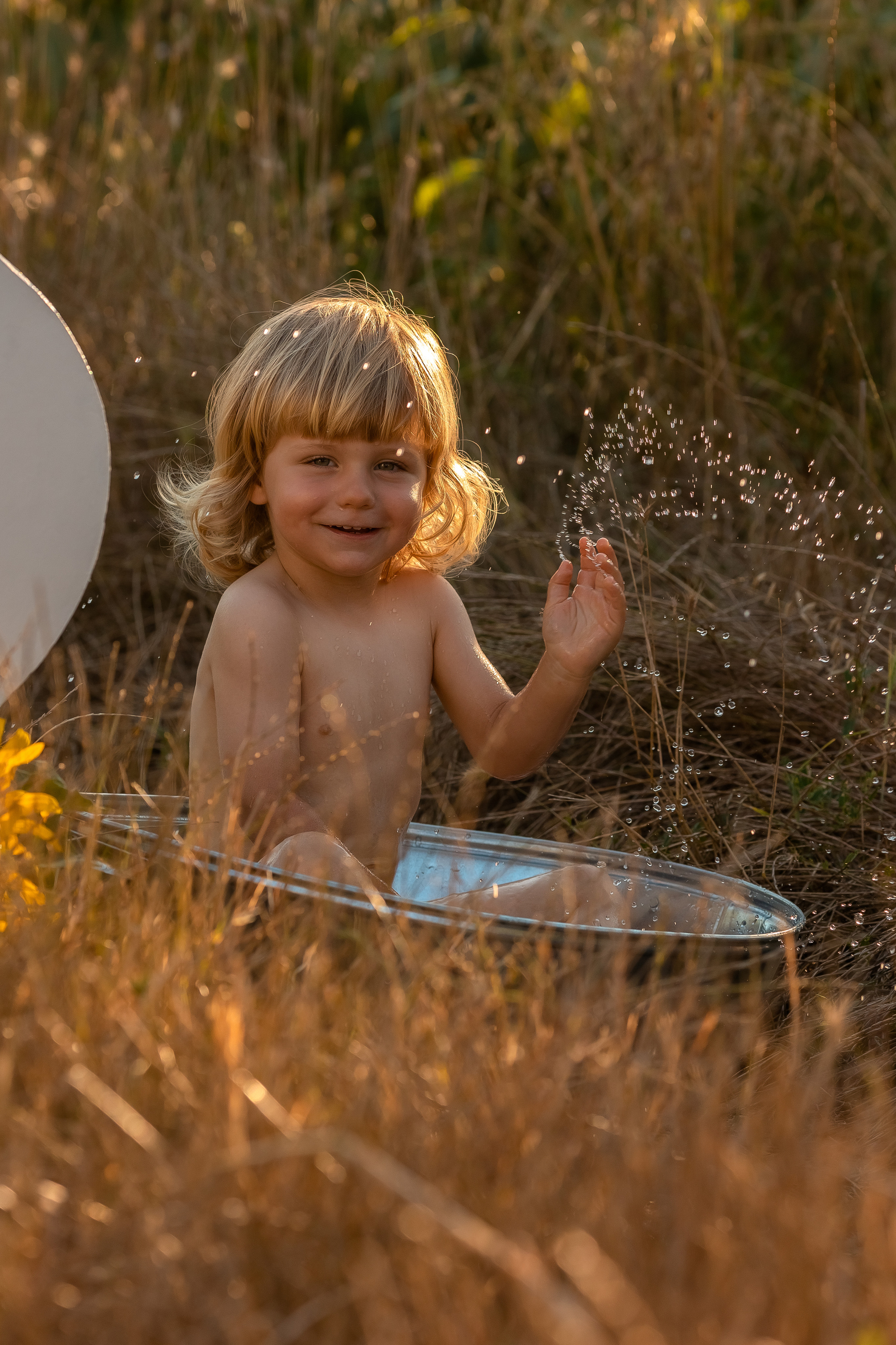 Фоторазходка Слънчогледи. Фотограф Ирина Йотова