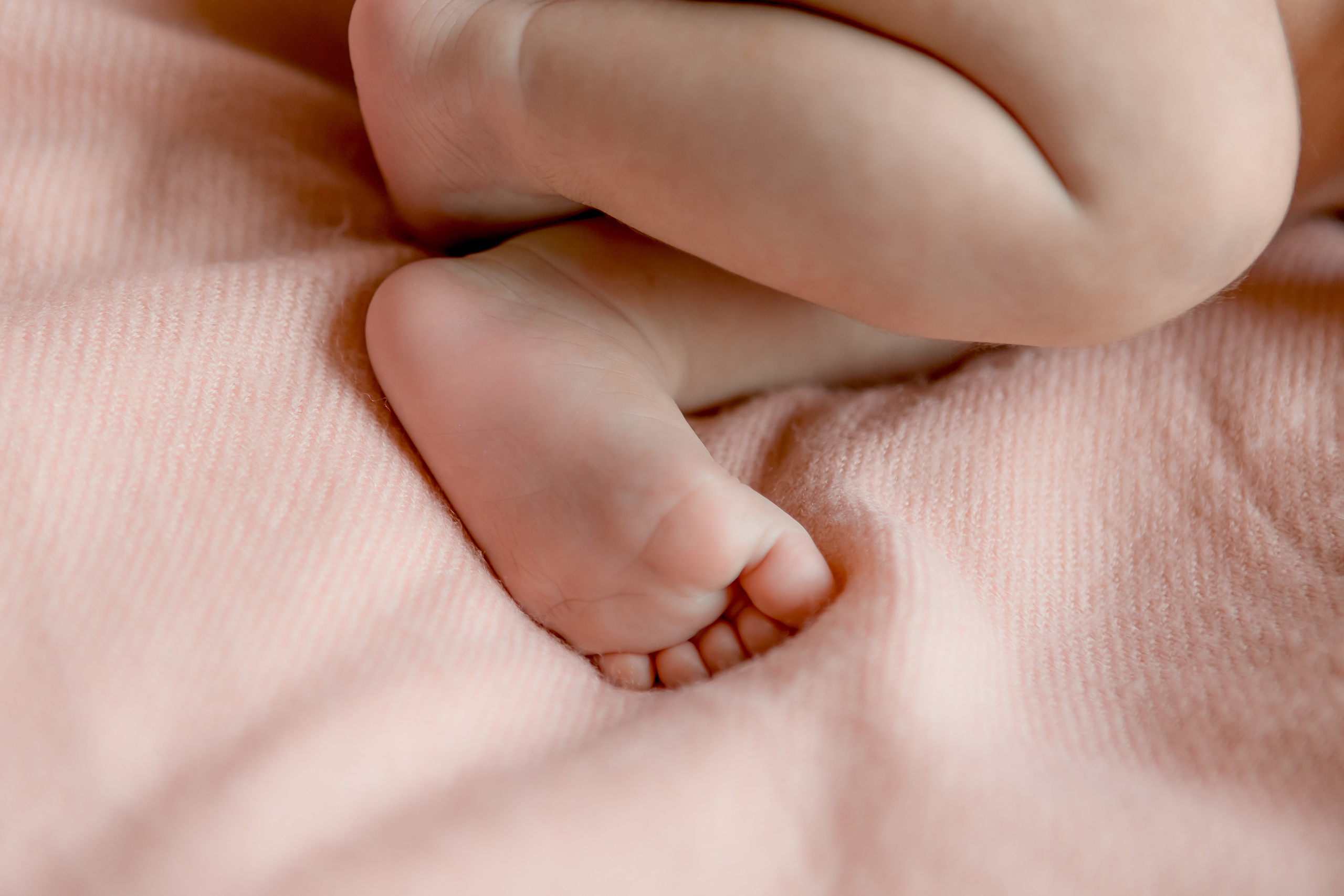 Newborn Girl. Фотограф Ирина Йотова