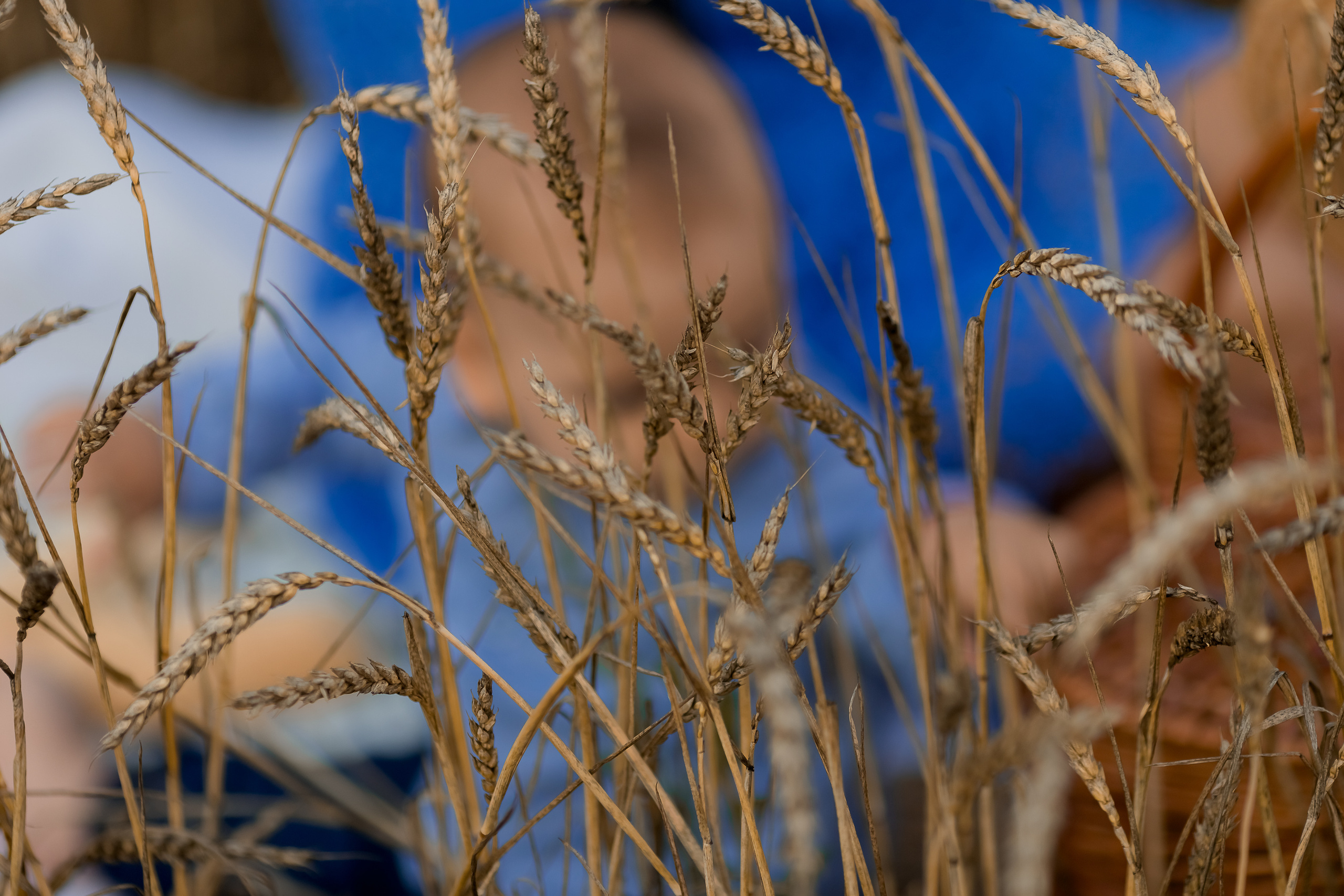 Фоторазходка Ръж. Фотограф Ирина Йотова