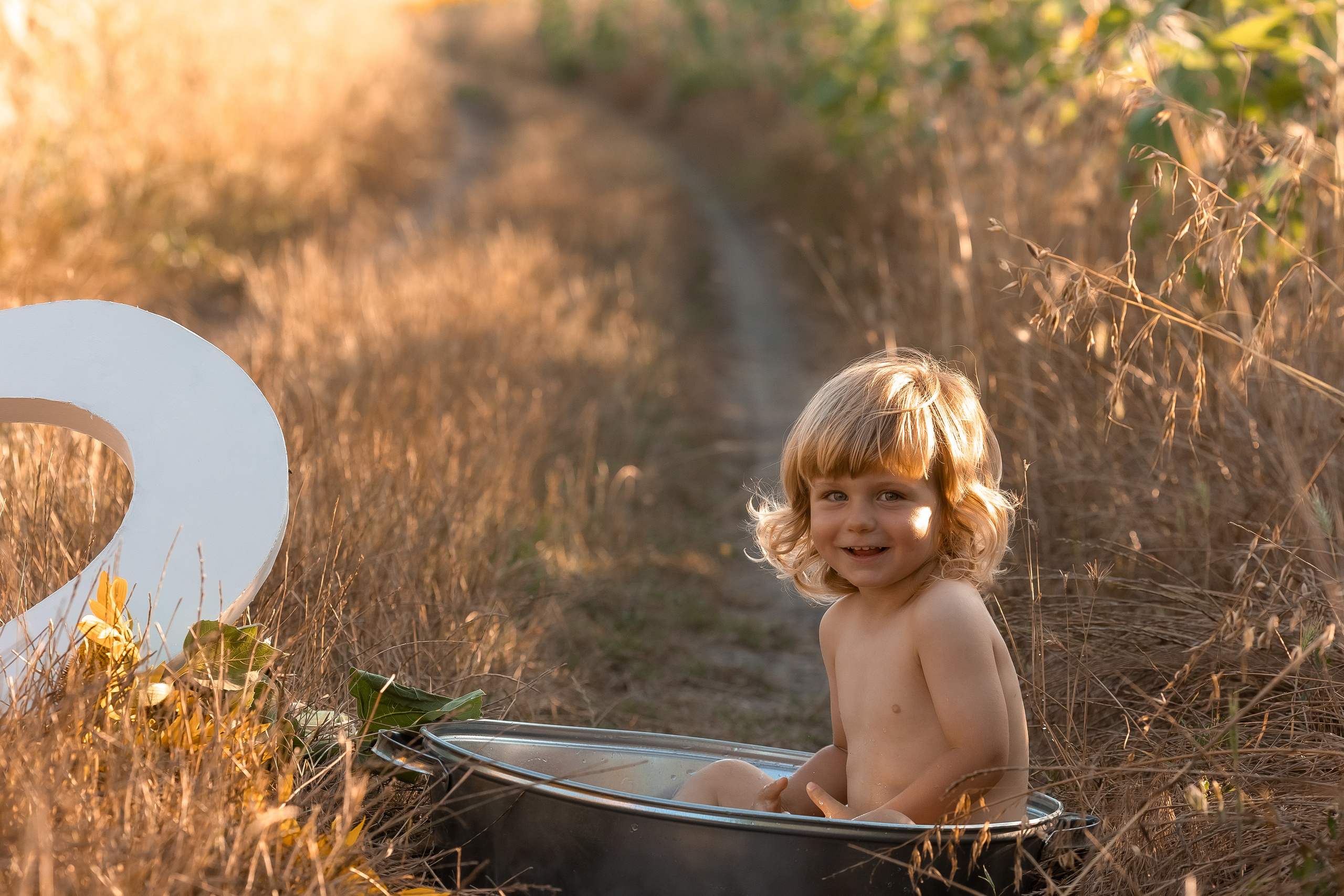 Фоторазходка Слънчогледи. Фотограф Ирина Йотова