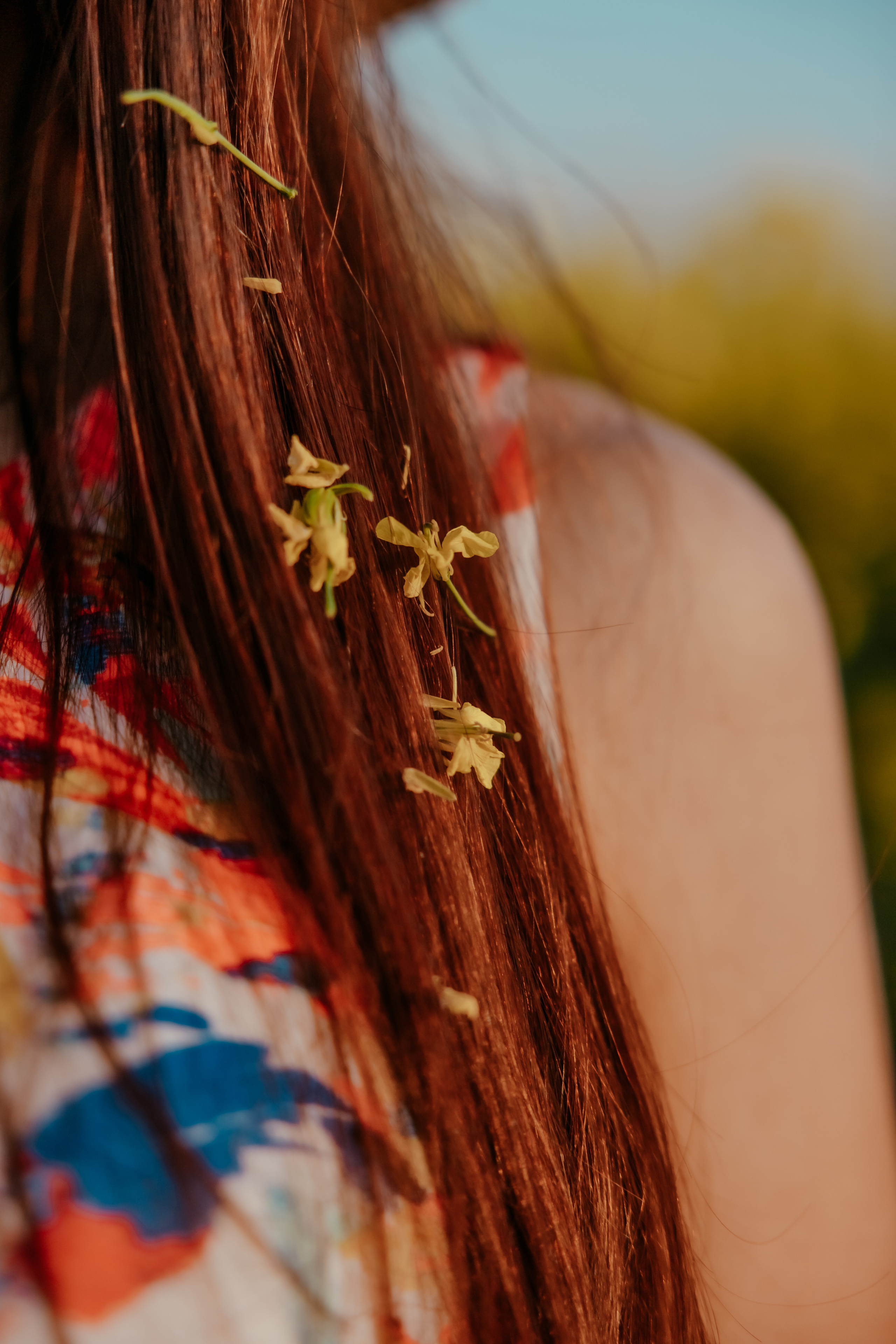 Когато цъфти рапицата. Фотограф Ирина Йотова