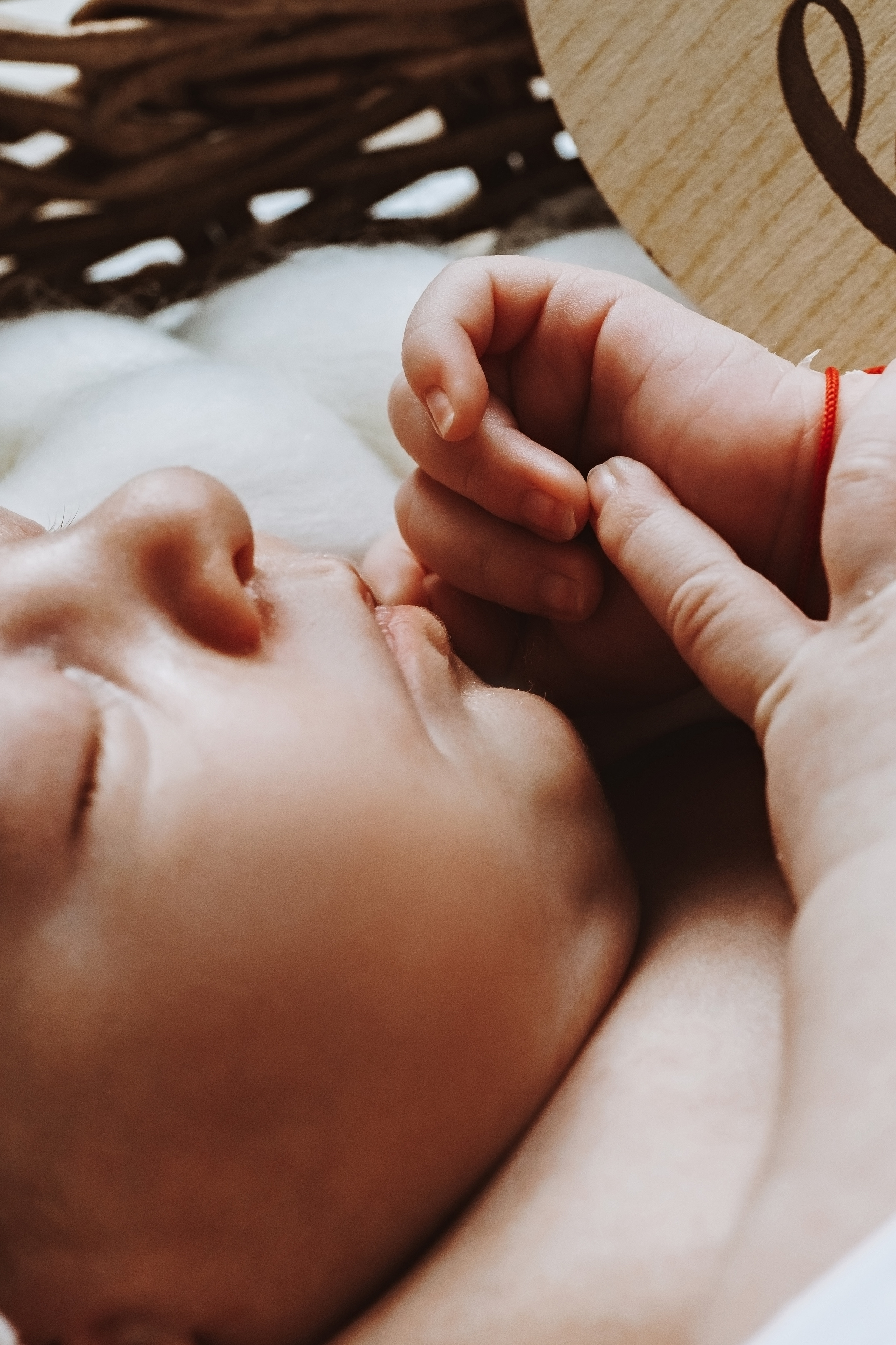Newborn Girl. Фотограф Ирина Йотова