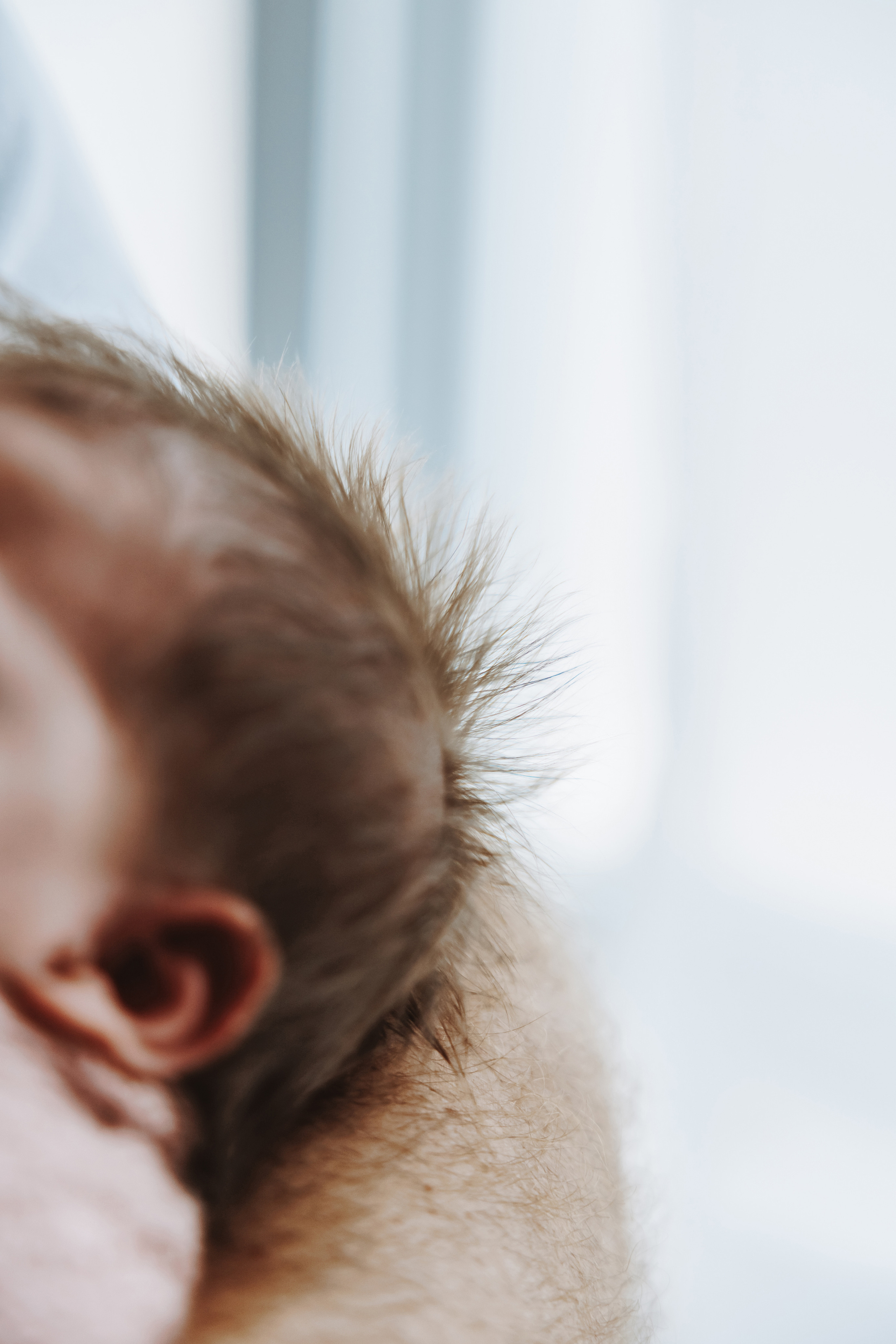 Newborn Girl. Фотограф Ирина Йотова