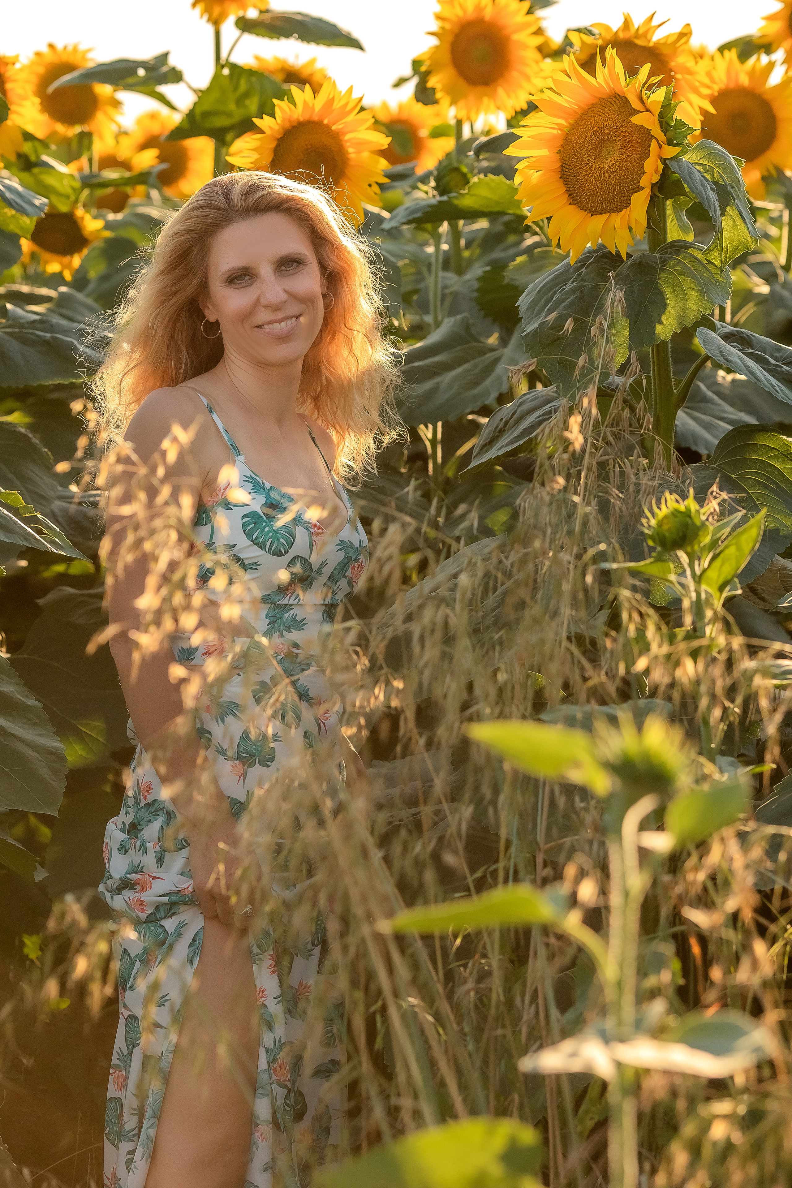 Фоторазходка Слънчогледи. Фотограф Ирина Йотова