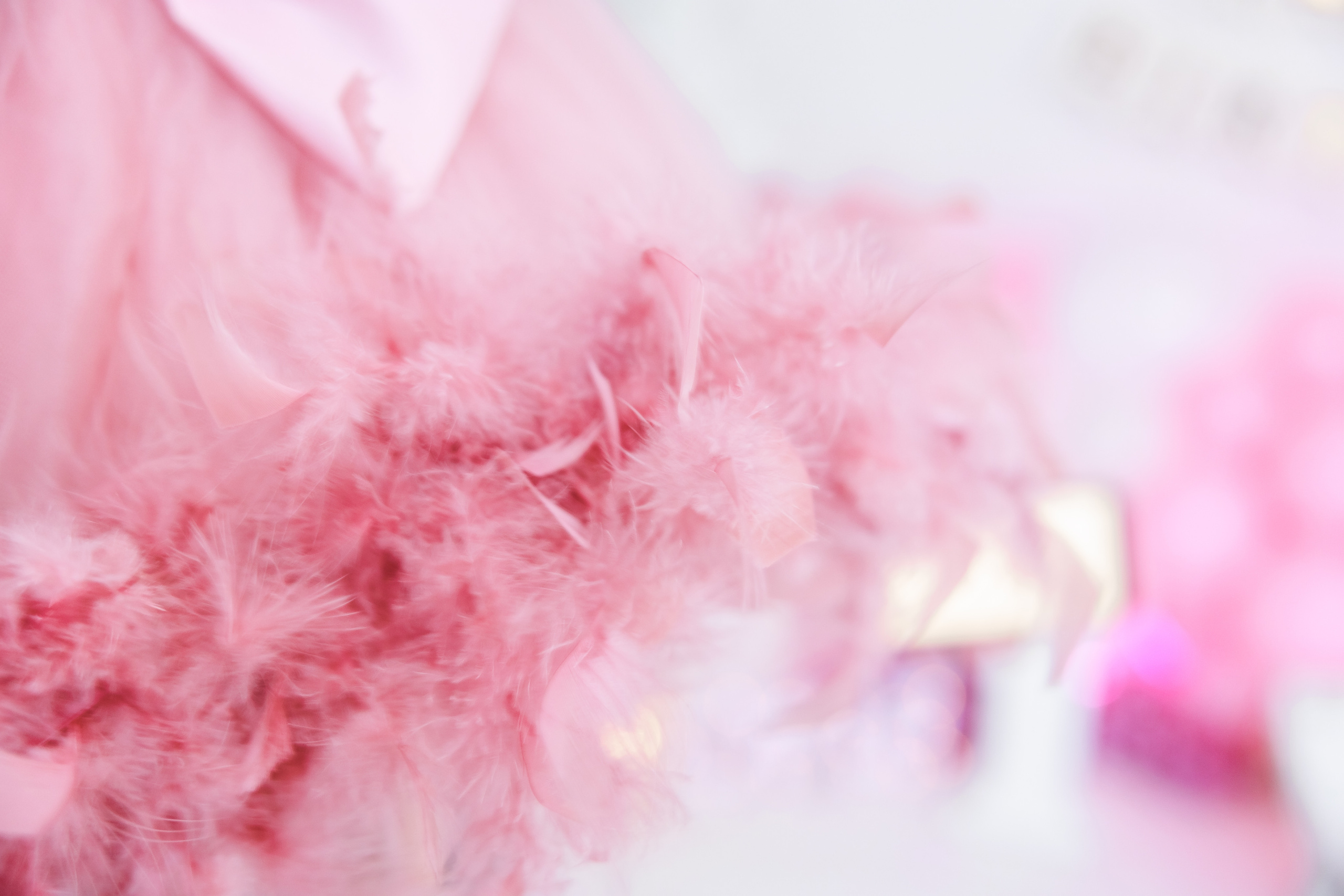 Честит 1 Рожден Ден. Фотограф Ирина Йотова