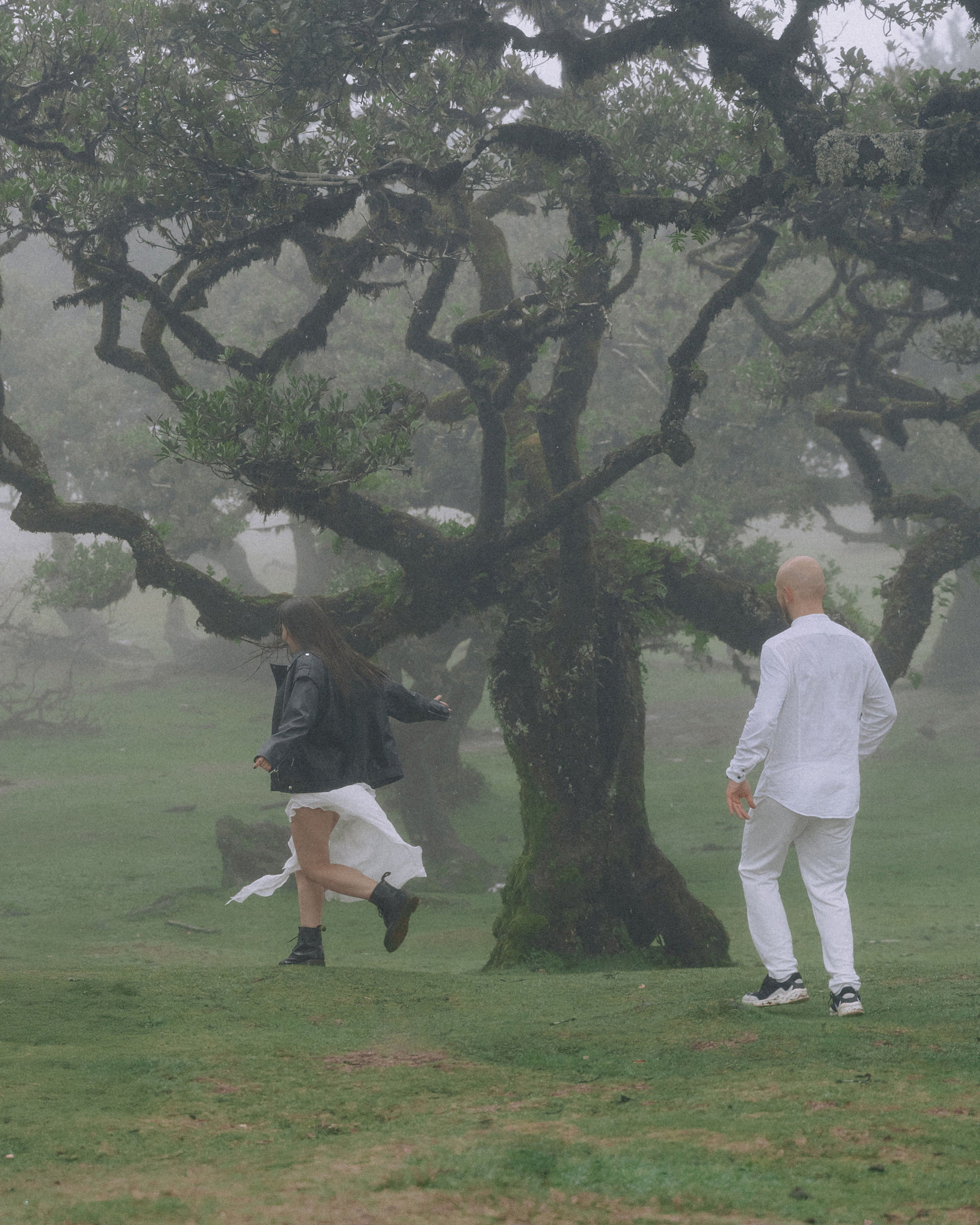 Proposal Photoshoot in Madeira | Stanislav & Katya, Fanal Forest. Your photographer in Madeira