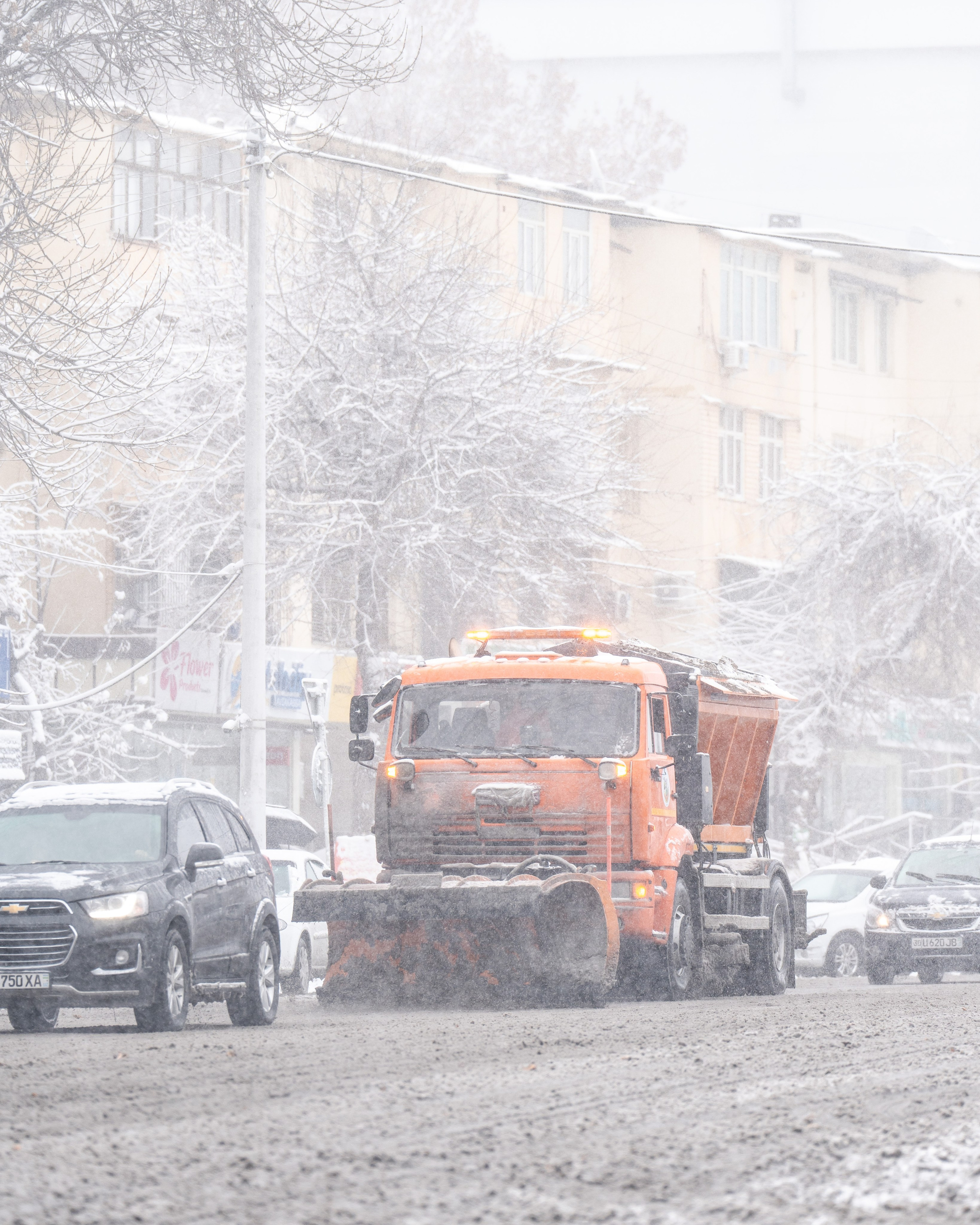 Снег. Георгий Намазов | Фотограф в Ташкенте