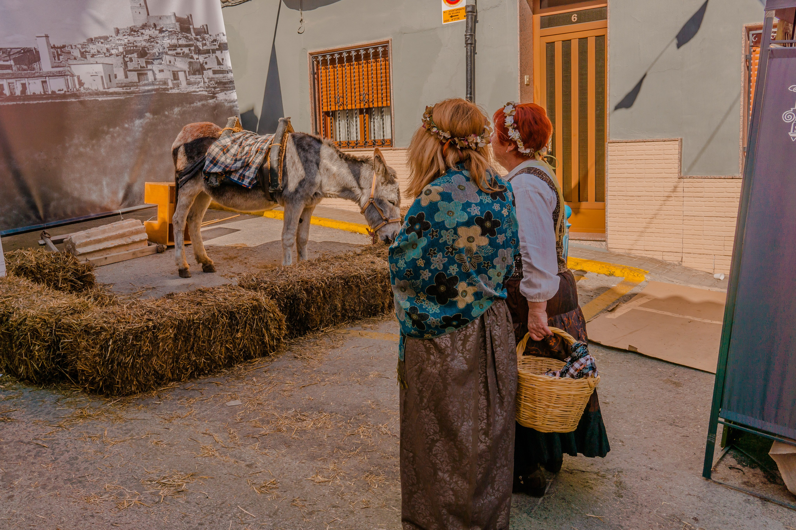 Villena. Alba del Norte Studio