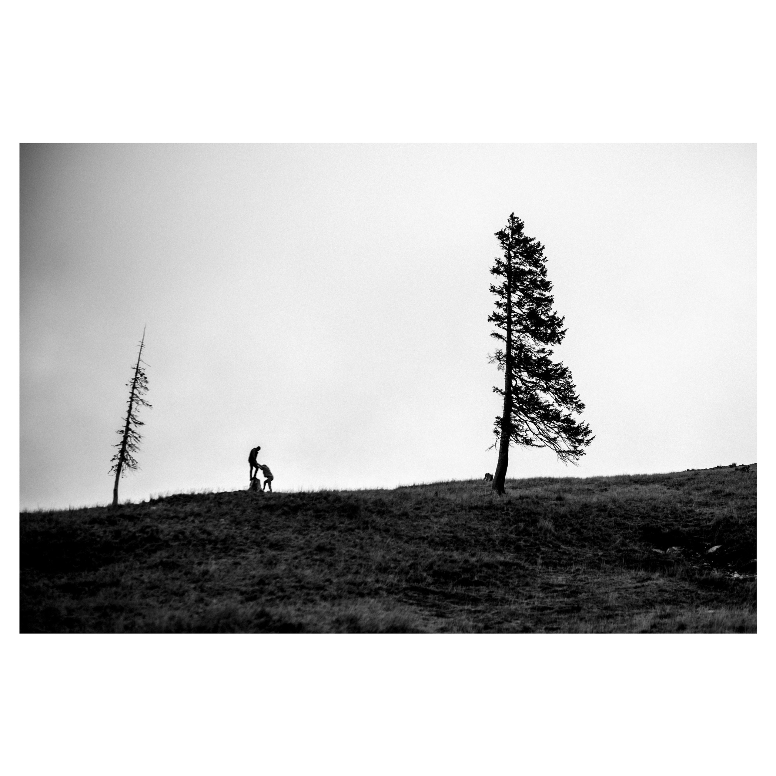 Workshop. Ionut Birceanu