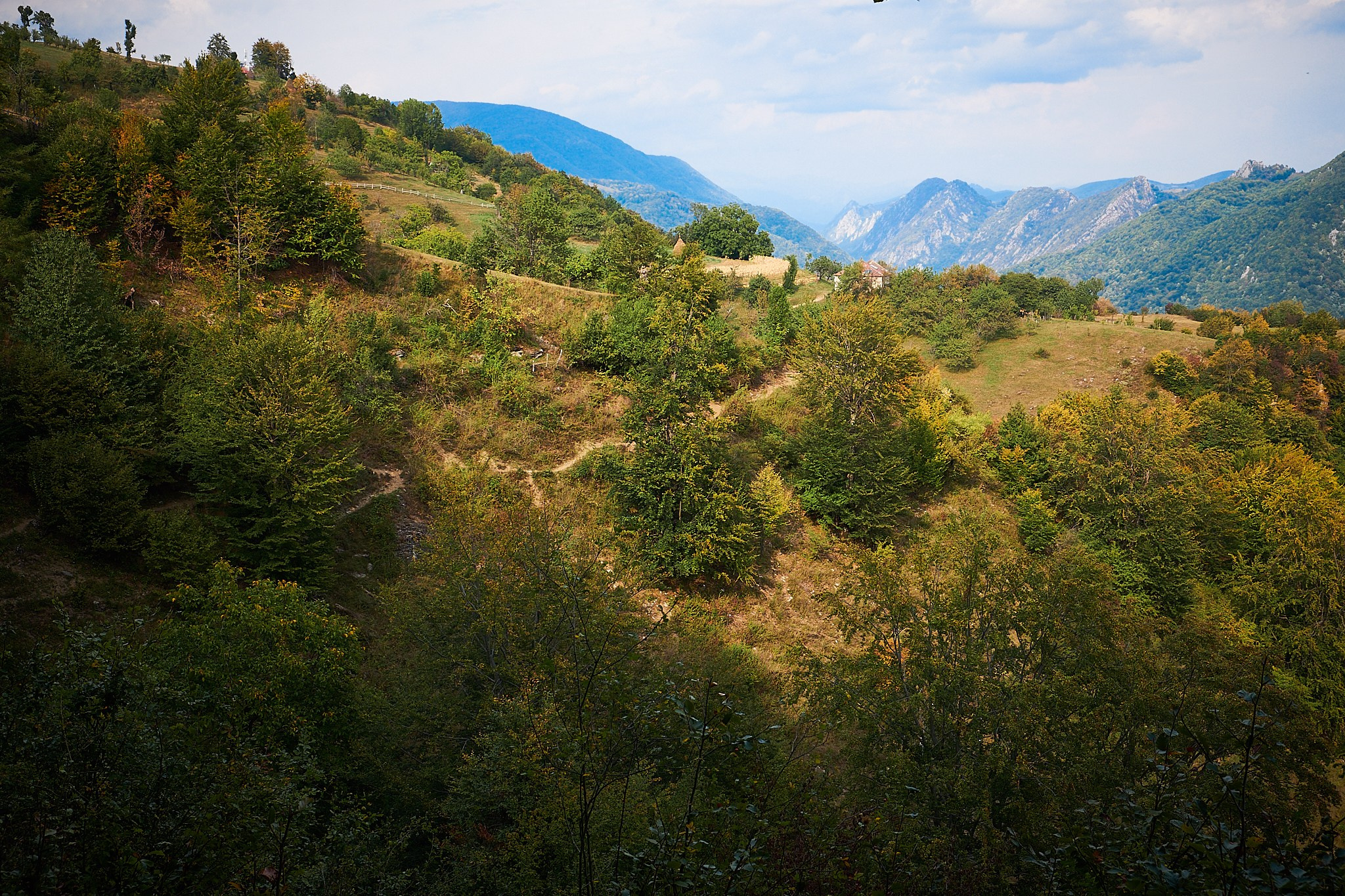 Ineleț, jud. Caraș-Severin. Pagina principală