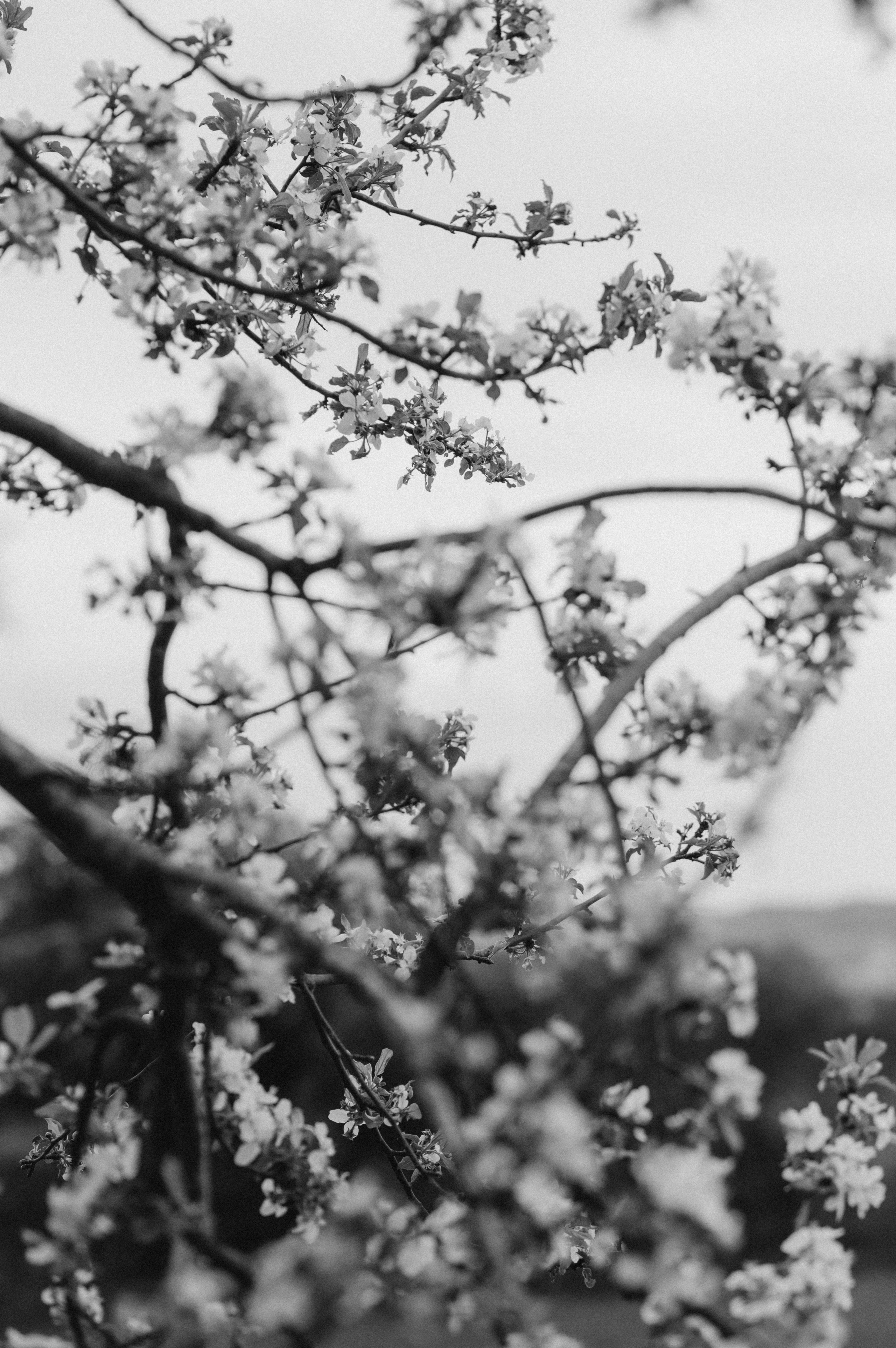 REGENHOCHZEIT IN HERRIEDEN. Фотограф в Нюрнберге Ирина Менерт из Ансбаха