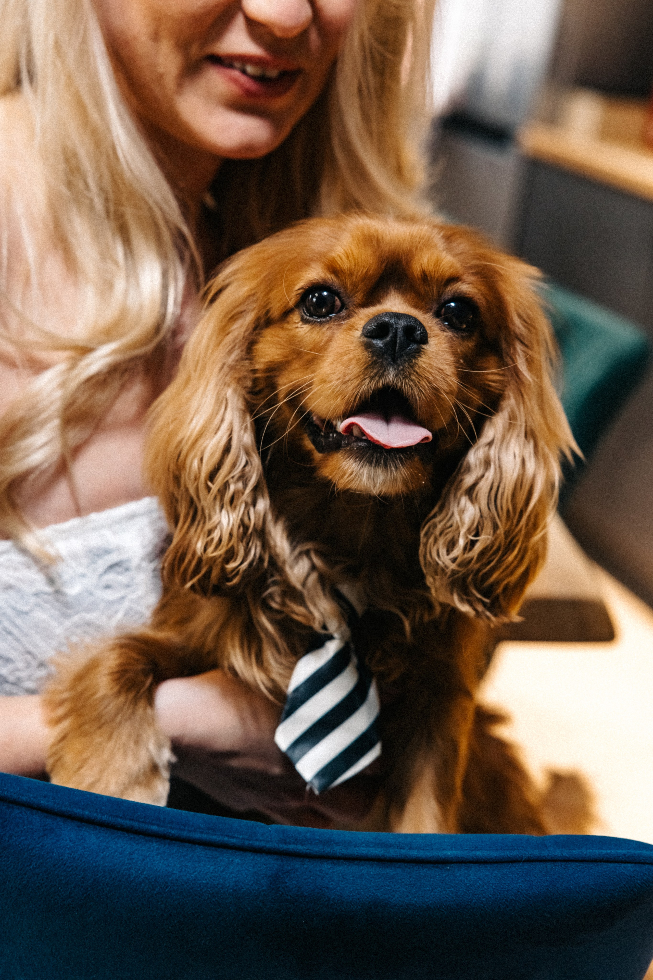 Годеж. Фотограф Ирина Йотова