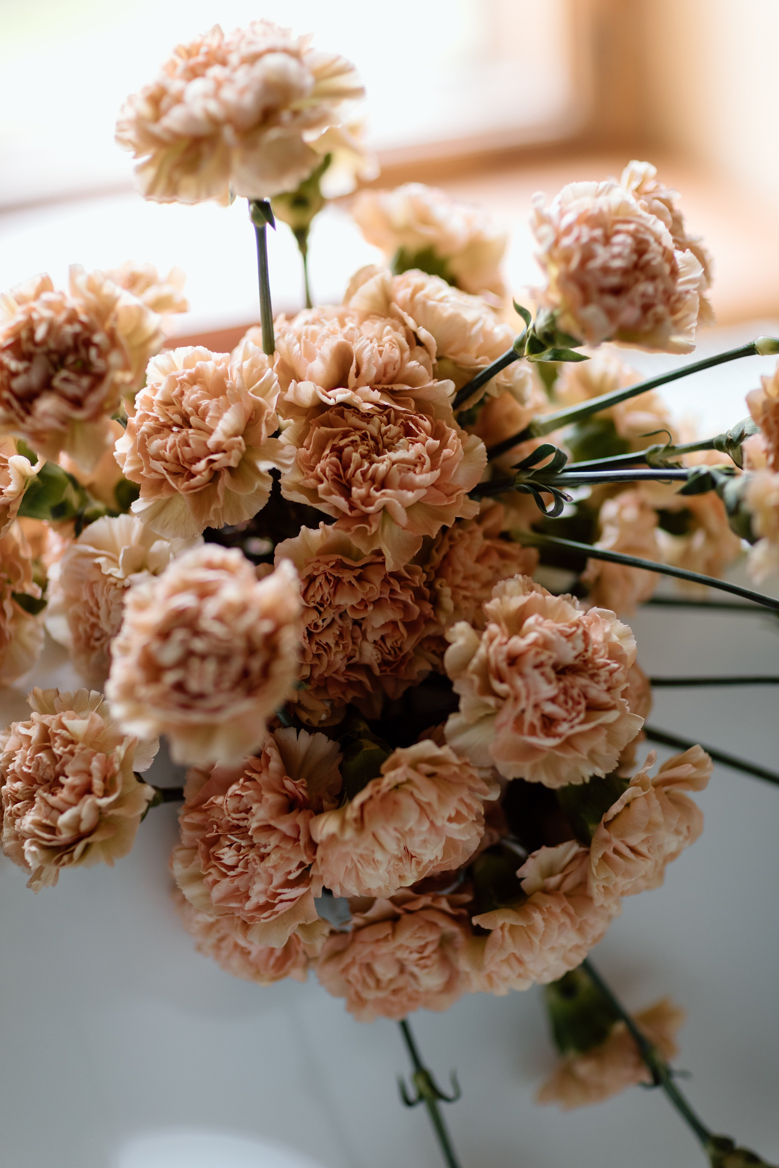 Styled Shoot Zabola Estate. Main