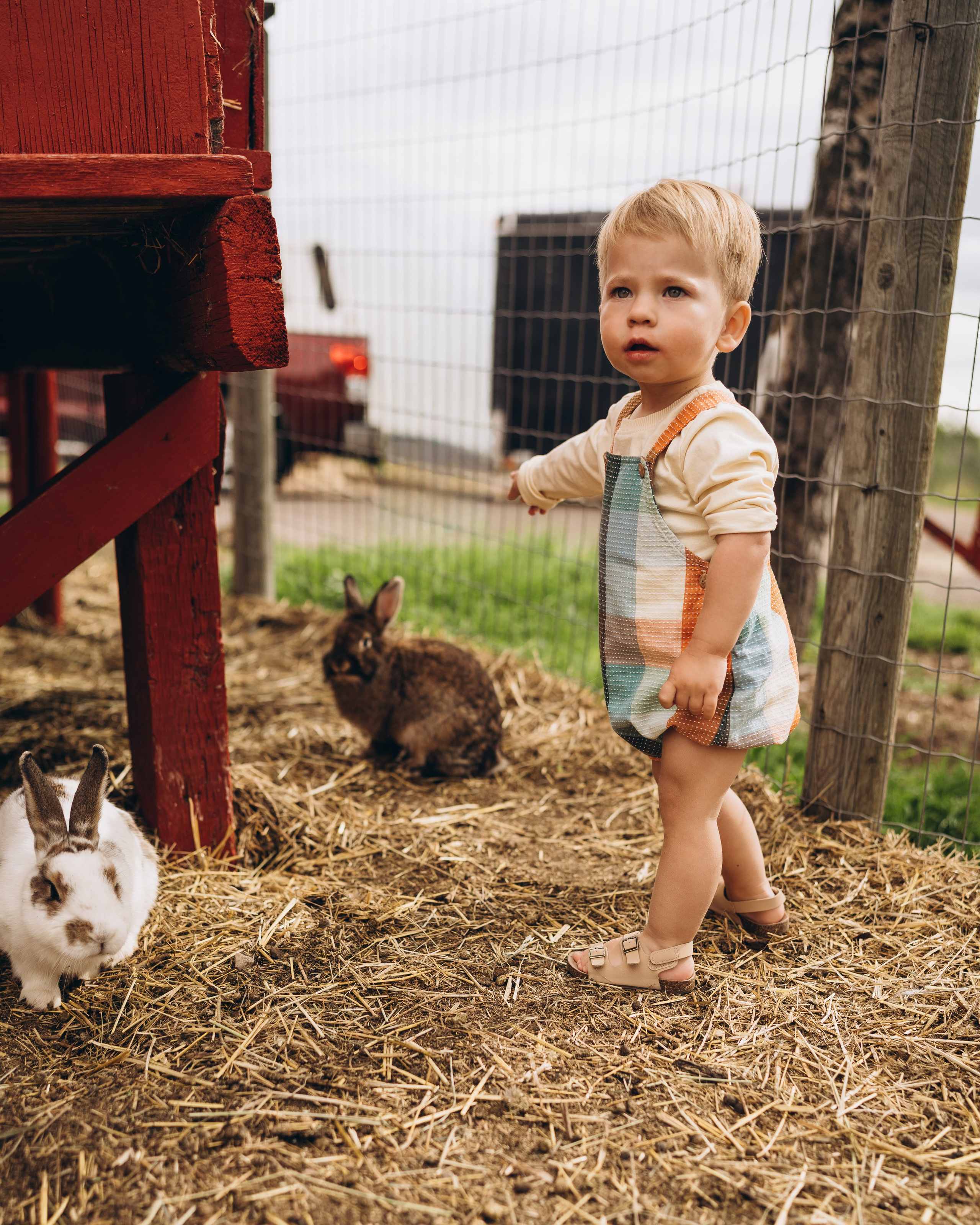 Lev. Calgary Wedding & Lifestyle Photographer — Yevhen Polishchuk