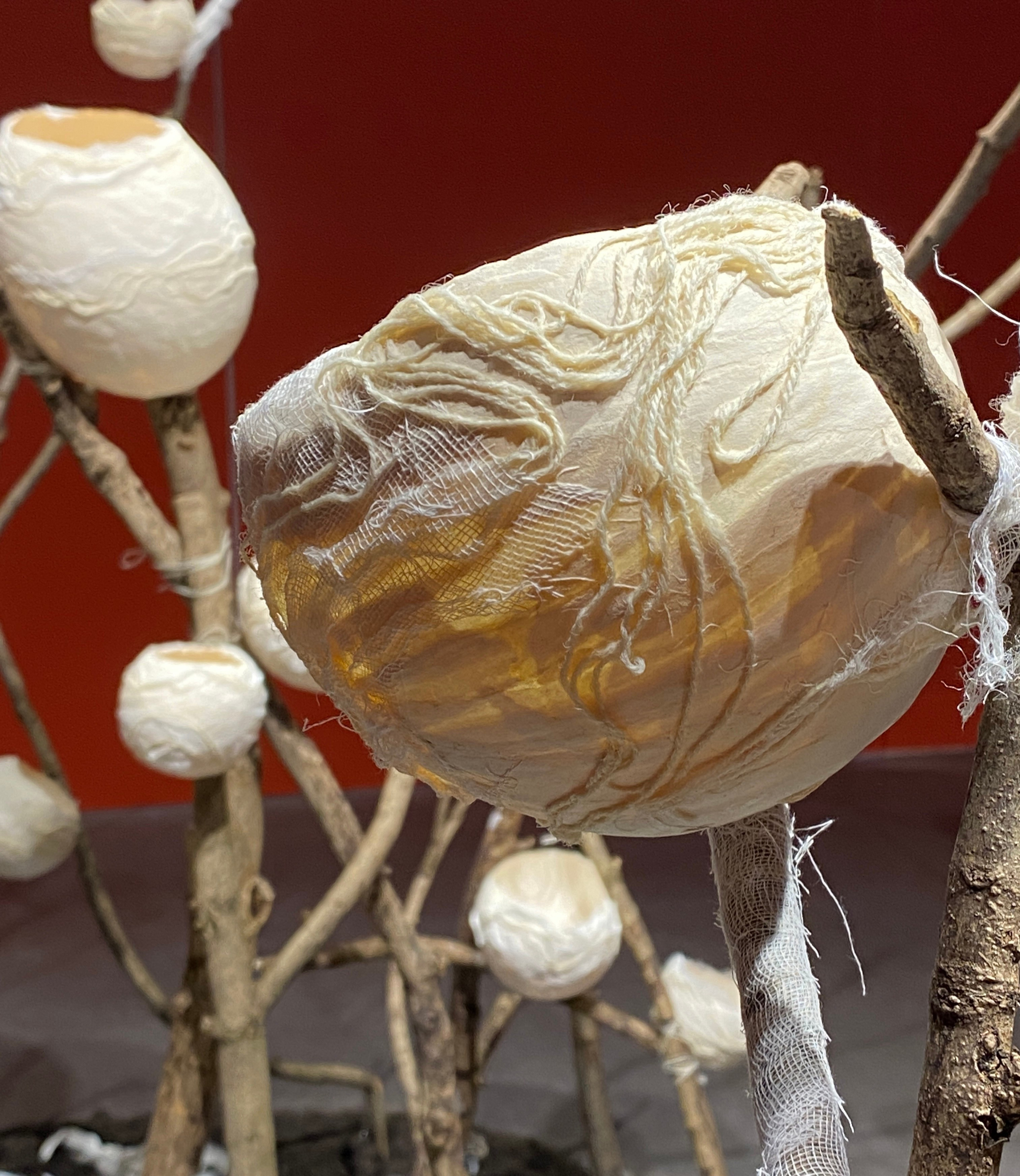 Le TRACé — Centre du Graphisme.2024. Yujoo HONG