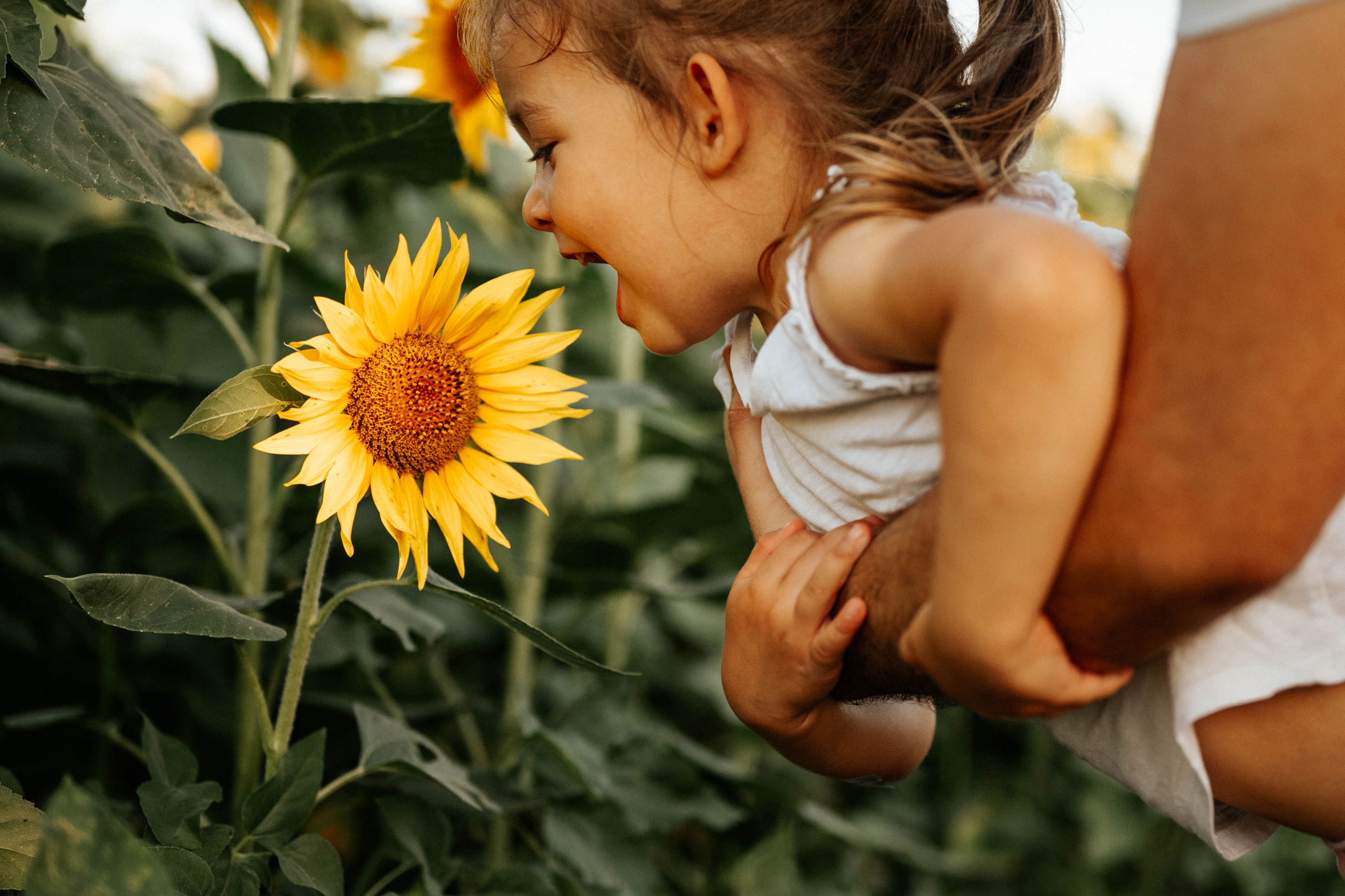 Višnja, Iskra, Maja i Stevan - porodično fotografisanje. Dečiji i porodični fotograf