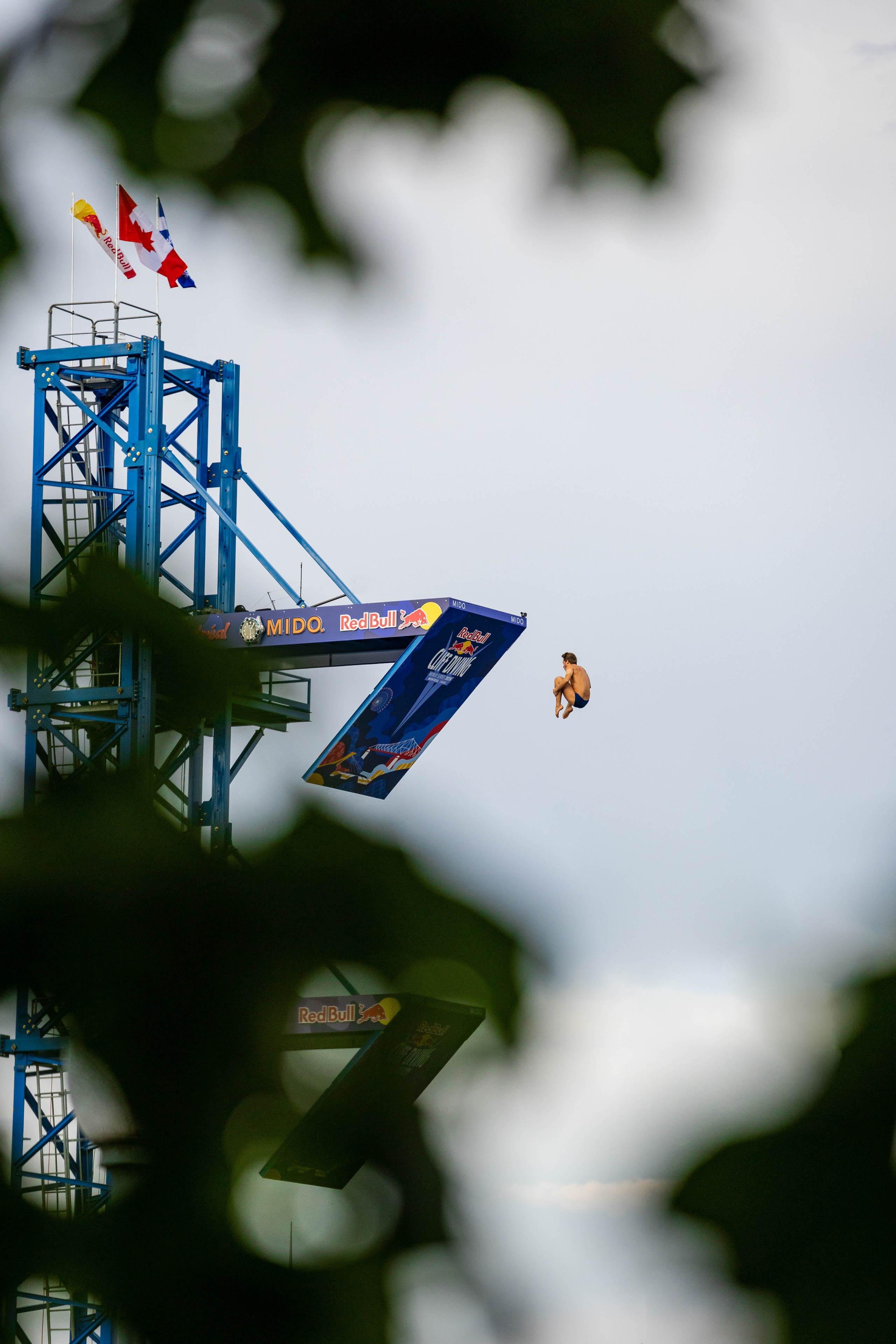 REDBULL DIVE MONTREAL