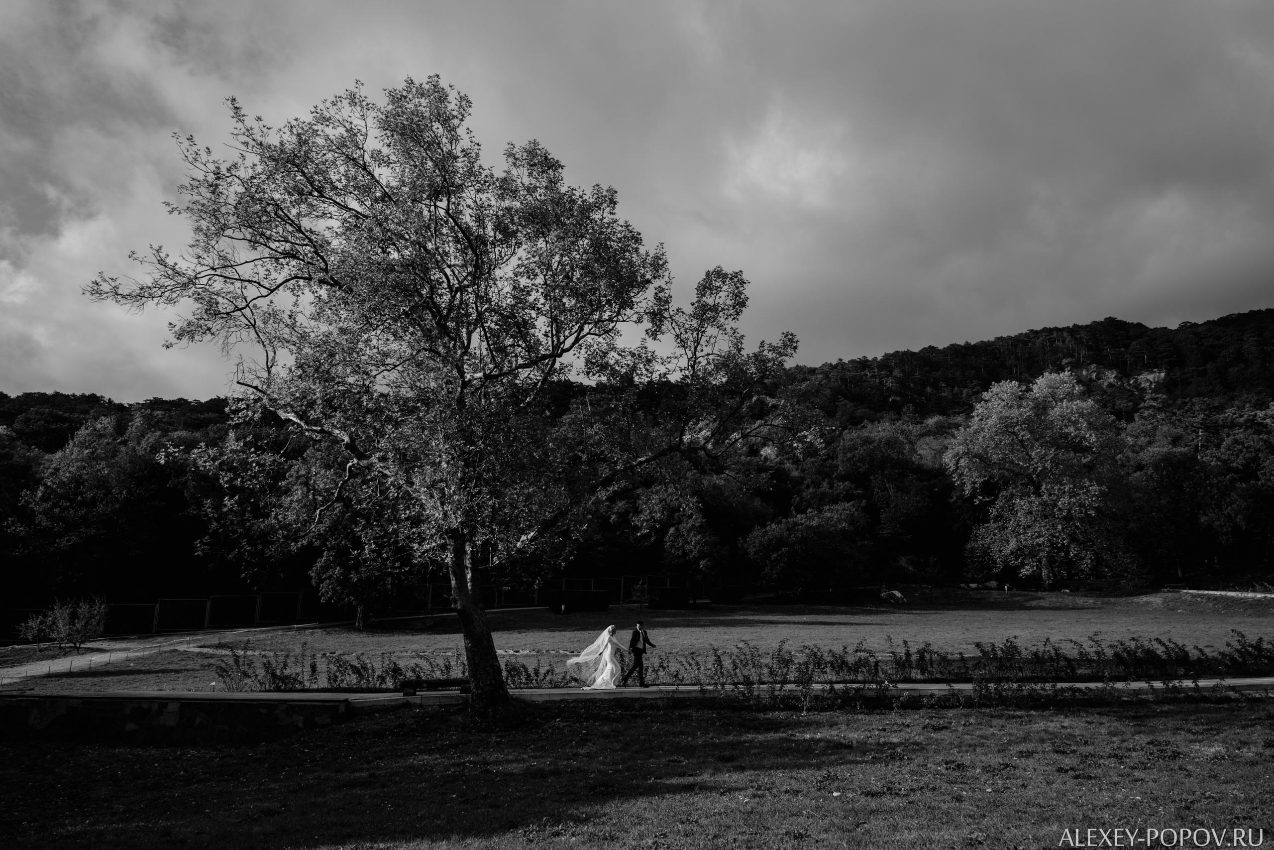 Свадьба в Ялте. Церемония с видом на море, кабриолет, дворец. Свадебный и семейный фотограф Алексей Попов. Штутгарт, Германия