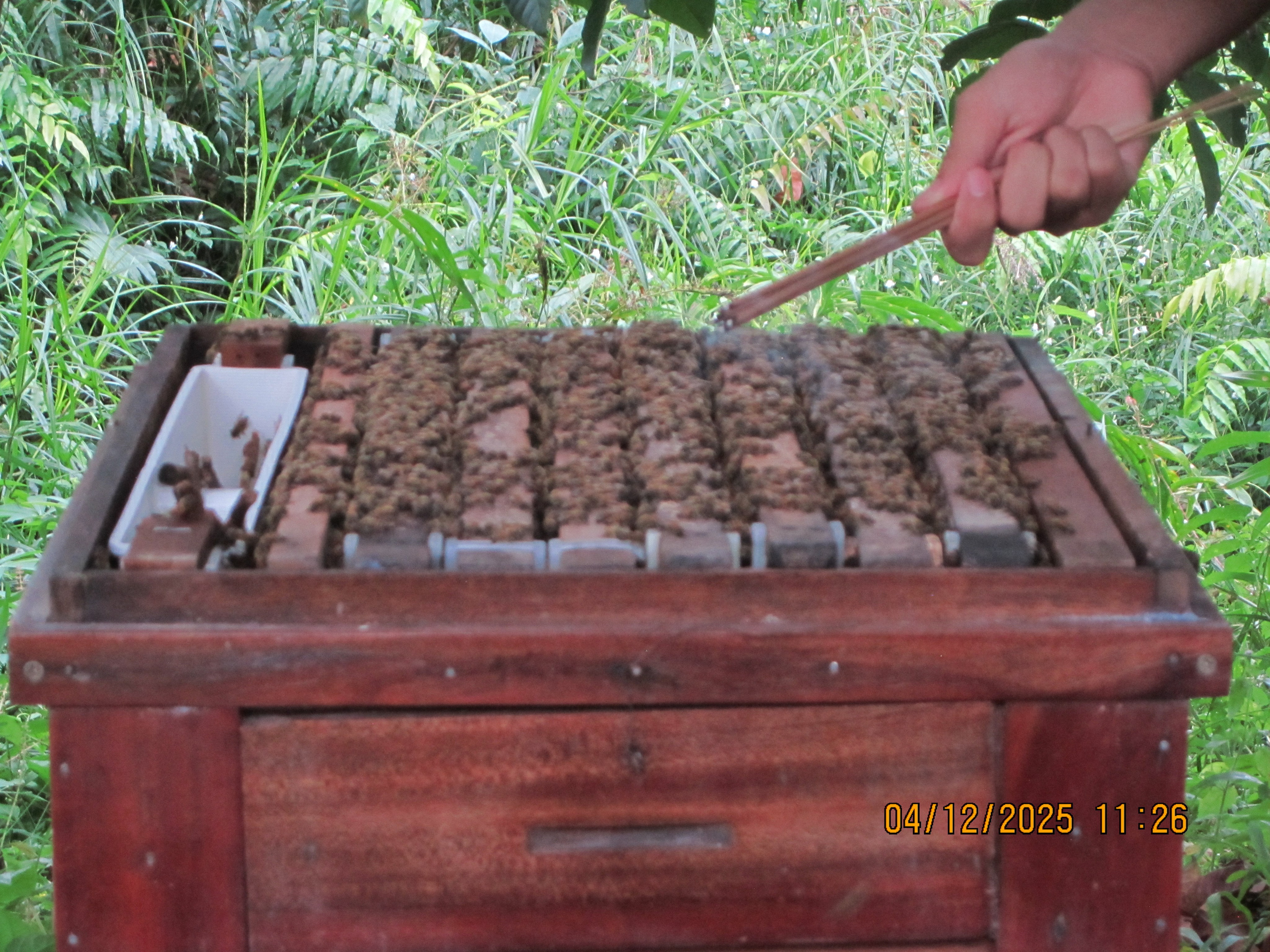 Kümnes päev. LondoSpeed Photography