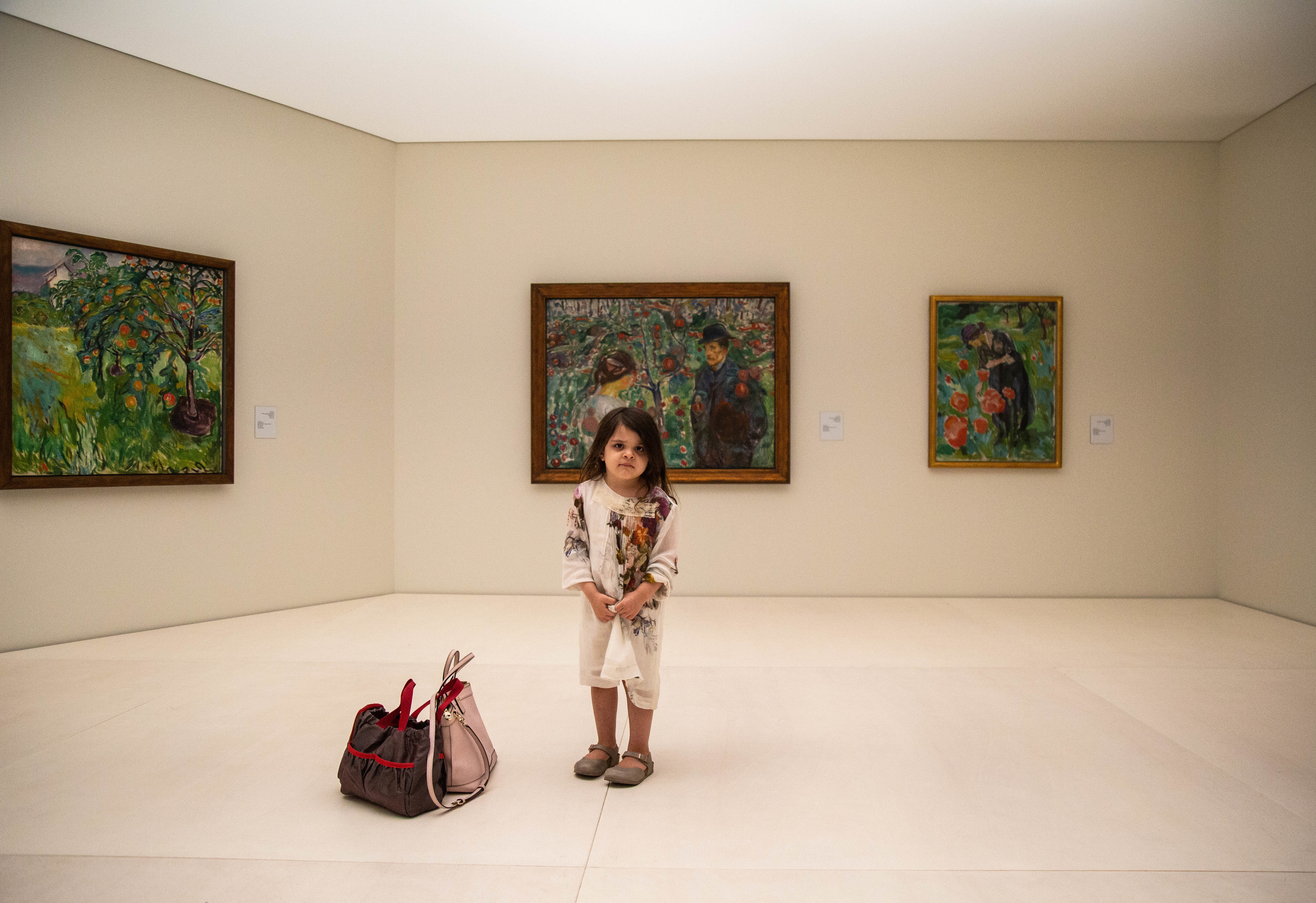 Edvard Munch. Landscapes of the Soul. Документальный фотограф, междисциплинарный художник