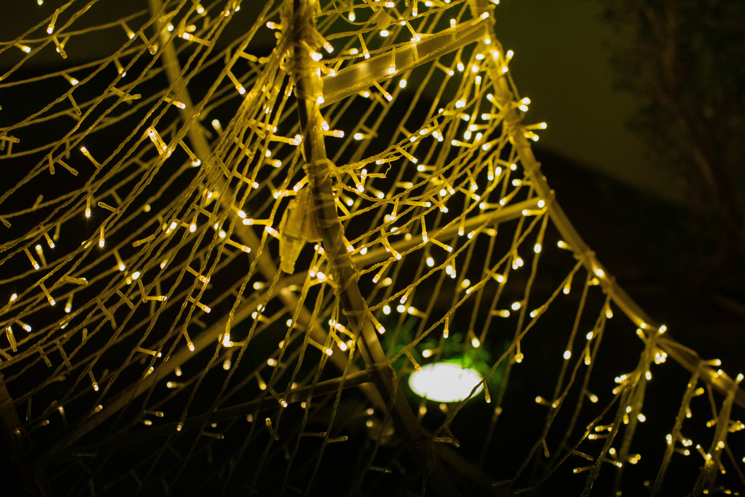 Gargaan. Документальный фотограф, междисциплинарный художник