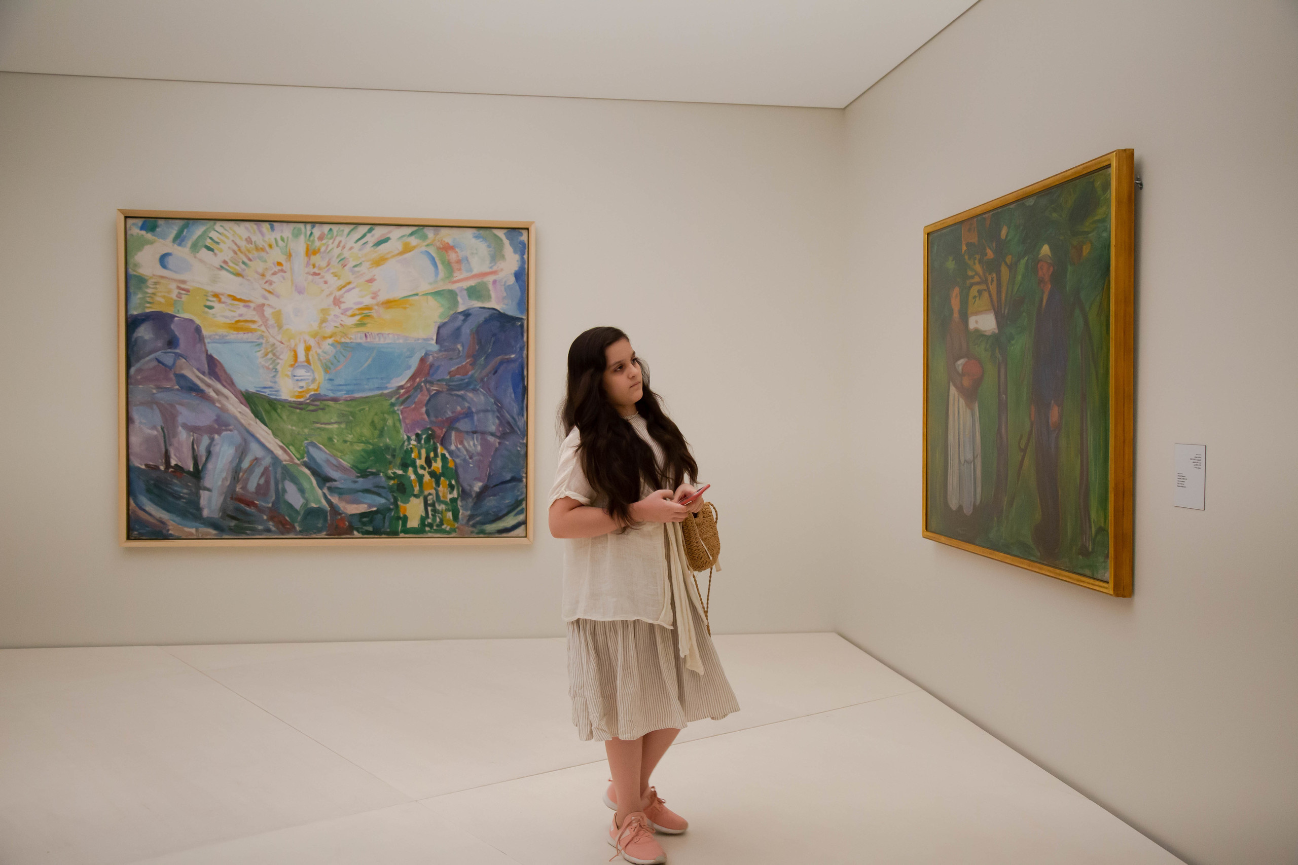 Edvard Munch. Landscapes of the Soul. Документальный фотограф, междисциплинарный художник