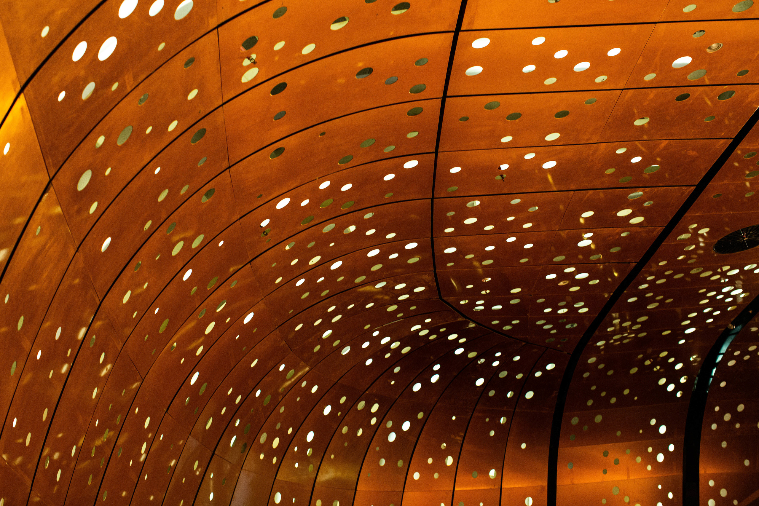 Edvard Munch. Landscapes of the Soul. Документальный фотограф, междисциплинарный художник