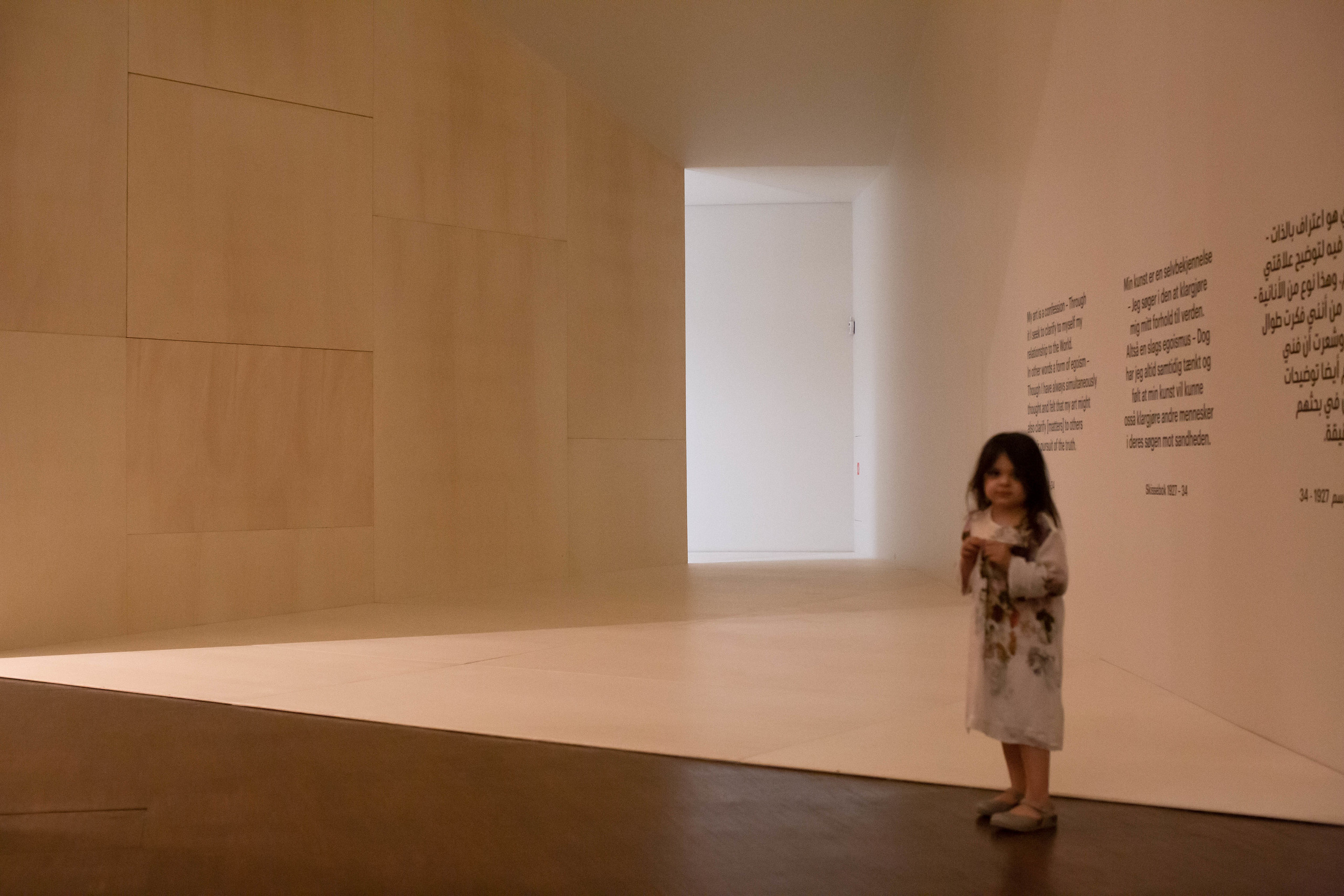 Edvard Munch. Landscapes of the Soul. Документальный фотограф, междисциплинарный художник