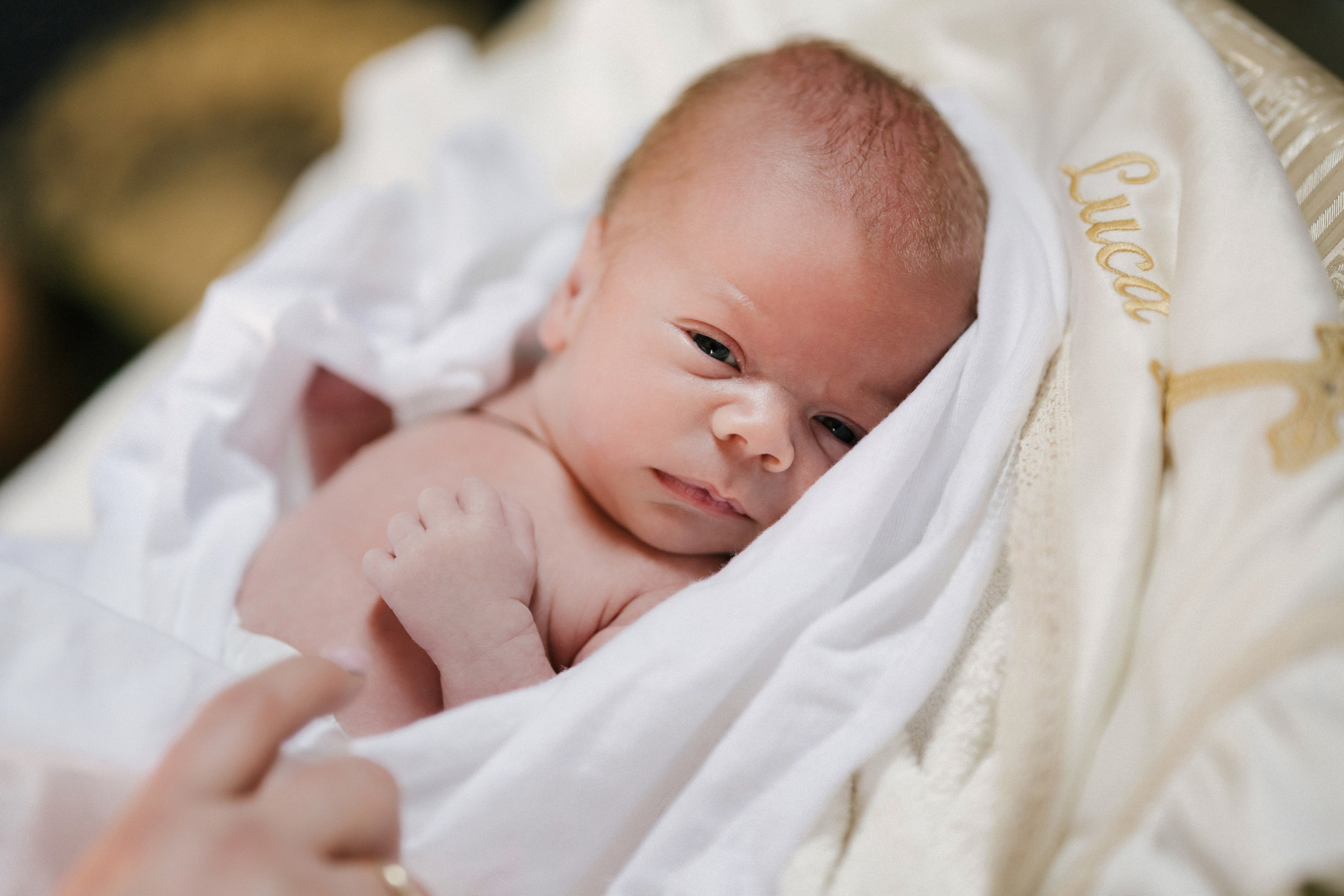 botez Luca Nectarie 22 februarie 2026 fotograf profesionist	•	fotograf botez Botoșani Luca Nectarie biserică	•	părinți Răzvan și Ramona botez copil emoții familie	•	nași Marin și Rodica botez copil fotografie profesională	•	detalii botez lumânare cristelniță biserică România	•	copil Luca Nectarie în brațe la botez moment emoționant	•	familie fericită la botez copil fotograf Alin Chirilă	•	fotografie botez naturală lumină caldă biserică	•	portret copil botez Luca Nectarie fotograf profesionist	•	momente autentice botez România familie și nași	•	slujbă botez copil imagini emoționante biserică	•	fotograf botez Iași și Botoșani Alin Chirilă - nunta--fotograf-profesionist-botosani  - fotografie-nunta-romantica - imagini-nunta-in-natura-alin-chirila-fotograf  - fotografii-cuplu-indragostit-nunta-botosani  - sedinta-foto-miri-andrei-iustina-alinofotostudio  - amintiri-din-nunta-realizate-de-fotograf-profesionist  - povestea-nuntii-andrei-si-iustina-in-imagini-alinofotostudio-fotograf evenimente- evenimente Botoșani -fotograf Suceava - fotograf Iași- servicii foto. servicii foto Botoșani. servicii foto video Botoșani. otograf-nunta-botosani-fotograf nunta. fotograf evenimente. fotograf nunta Botoșani. Alin chirila. Alin chirila fotograf. Alinofotostudio.- servicii foto. servicii foto Botoșani. servicii foto video Botoșani. fotograf nunta. fotograf evenimente. fotograf nunta Botoșani. Alin chirila. Alin chirila fotograf. Alinofotostudio.fotograf stare civilă,poze stare civilă,album foto stare civilă,servicii foto suceava,fotograf evenimente suceava,fotograf nuntă suceava,poze cununie civilă,ședință foto stare civilă,sesiune foto suceava,fotograf profesionist suceava,fotograf botosani,stare civila botosani,alinofotostudio,alin chirila fotograf.servicii foto. servicii foto Botoșani. servicii foto video Botoșani. fotograf nunta. fotograf evenimente. fotograf nunta Botoșani. Alin chirila. Alin chirila fotograf. Alinofotostudio.fotograf stare civilă,poze stare civilă,album foto stare civilă,servicii foto suceava,fotograf evenimente suceava,fotograf nuntă suceava,poze cununie civilă,ședință foto stare civilă,sesiune foto suceava,fotograf profesionist suceava,fotograf botosani,stare civila povestitor prin fotografiebotosani,alinofotostudio,alin chirila fotograf,servicii foto. servicii foto Botoșani. servicii foto video Botoșani. fotograf nunta. fotograf evenimente. fotograf nunta Botoșani. Alin chirila. Alin chirila fotograf. Alinofotostudio.fotograf stare civilă,poze stare civilă,album foto stare civilă,servicii foto suceava,fotograf evenimente suceava,fotograf nuntă suceava,poze cununie civilă,ședință foto stare civilă,sesiune foto suceava,fotograf profesionist suceava,fotograf botosani,stare civila botosani,alinofotostudio,alin chirila fotograf,cununie religioasă botoșani,andreea și neculai,capela militară botoșani,foto conacul zăicești,fotograf nuntă botoșani,fotograf cununie religioasă,foto evenimente botoșani,poze cununie capela militară,ședință foto zăicești,fotograf profesionist botoșaniMire și mireasă – Sergiu & Liliana – ziua nunții, 2024  - Emoții în ziua nunții – Sergiu și Liliana  - Dansul mirilor – fotografie artistică nuntă 2024  - Sedinta foto romantică în natură – Sergiu & Liliana  - Rochia de mireasă și detalii de nuntă elegan-Album de cununie civilă Florin și Anda – Fotografii profesionale realizate de Alin Chirilă în Botoșani -fotograf prin fotografie-Ședință foto Trash the Dress pe muntele Rarău cu Iulian și Iuliana – fotografie de cuplu, natură montană, emoție autentică surprinsă de Alin Chirilă, povestitor prin fotografie.- "Iulian și Iuliana pe crestele Rarăului – fotografie Trash the Dress în natură"  - "Cuplu îmbrățișat la apus pe muntele Rarău – ședință foto după nuntă"  - "Rochie de mireasă în vânt pe munte – Trash the Dress Rarău-1. Iulian și Iuliana pe muntele Rarău – ședință foto Trash the Dress în natură, cu peisaj montan spectaculos  2. Cuplu în îmbrățișare pe Rarău – emoție autentică surprinsă după nuntă  3. Rochie de mireasă în bătaia vântului – fotografie artistică Trash the Dress în munți  4. Mire și mireasă privind spre orizont – dragoste și libertate pe muntele Rarău  5. Iuliana zâmbind în rochia de mireasă – portret în natură, Trash the Dress  6. Iulian ținându-și mireasa de mână – ședință foto romantică pe munte  7. Detaliu cu rochia pe stâncă – estetică naturală Trash the Dress Rarău  8. Cuplu în mers pe poteca Rarăului – fotografie simbolică de după nuntă  9. Apus de soare pe Rarău în spatele mirilor – imagine de poveste Trash the Dress  10. Iulian și Iuliana râzând împreună – momente autentice surprinse de Alin Chirilă, povestitor prin fotografie-fotograf-nunta-cerbu-botosan trash-the-dress-botosani Alin Chirilă Fotograf – fotograf de nuntă Botoșani-fotograf nuntă Botoșani-fotograf nuntă Cerbu Botoșani-fotograf profesionist nuntă Botoșani-fotografie de nuntă Botoșani-fotograf evenimente Botoșani-fotograf nuntă Moldova-fotograf trash the dress Botoșani	- fotograf pregătirea mirilor Botoșani	-fotograf ceremonie religioasă nuntă-fotograf petrecere nuntă Botoșani- fotograf nuntă Botoșani pregătirea mirelui- pregătirea mirelui fotografie nuntă Cerbu Botoșani-fotograf nuntă Botoșani pregătirea miresei -mireasă pregătiri nuntă Cerbu Botoșani-fotograf nuntă Botoșani nașii mirilor-ceremonie religioasă nuntă Cerbu Botoșani-fotograf nuntă Botoșani ceremonie religioasă biserică-petrecere nuntă Cerbu Botoșani invitați dans-fotograf nuntă Botoșani petrecere restaurant-ședință foto trash the dress-fotograf trash the dress Botoșani ședință foto după nuntă-Fotograf nuntă Botoșani – galerie foto reală de la evenimente stare civilă Sebi și Claudia Copălău	•	cununie civilă Primăria Copălău Botoșani	•	miri emoționați la starea civilă	•	semnarea actelor cununie civilă	•	fotografii naturale stare civilă Botoșani	•	familie și prieteni la cununie civilă	•	cadre emoționale cununie civilă	•	fotograf profesionist Botoșani eveniment stare civilă Sebi și Claudia la Primăria Copălău Botoșani fotograf evenimente	•	fotograf cununie civilă Copălău Botoșani cadre naturale și emoționale	•	fotograf profesionist Botoșani stare civilă Sebi și Claudia	•	momente autentice cununie civilă Copălău fotograf Alin Chirilă	•	fotografii emoționale stare civilă în județul Botoșani