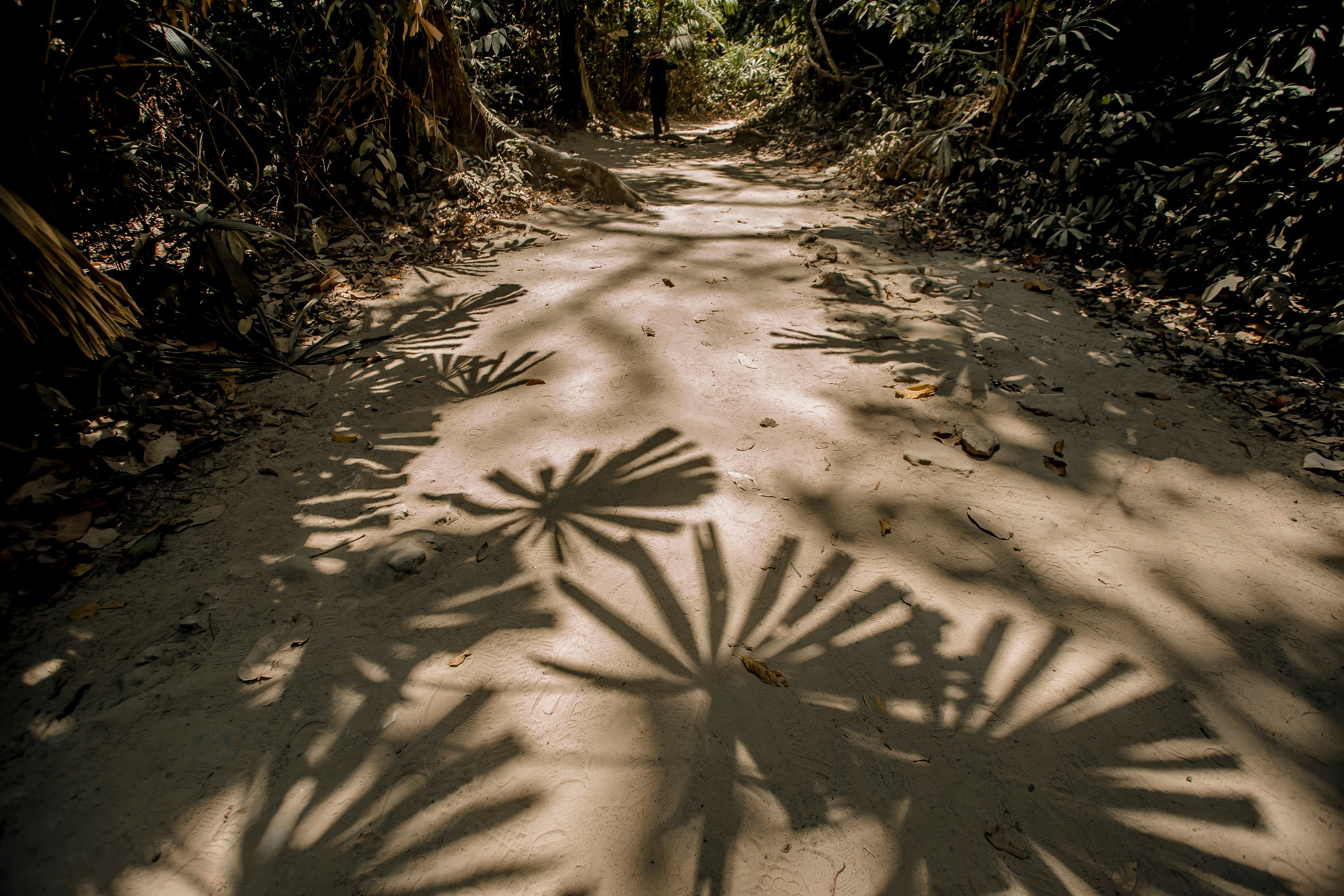 Andaman Islands, Part2. Art Photographer