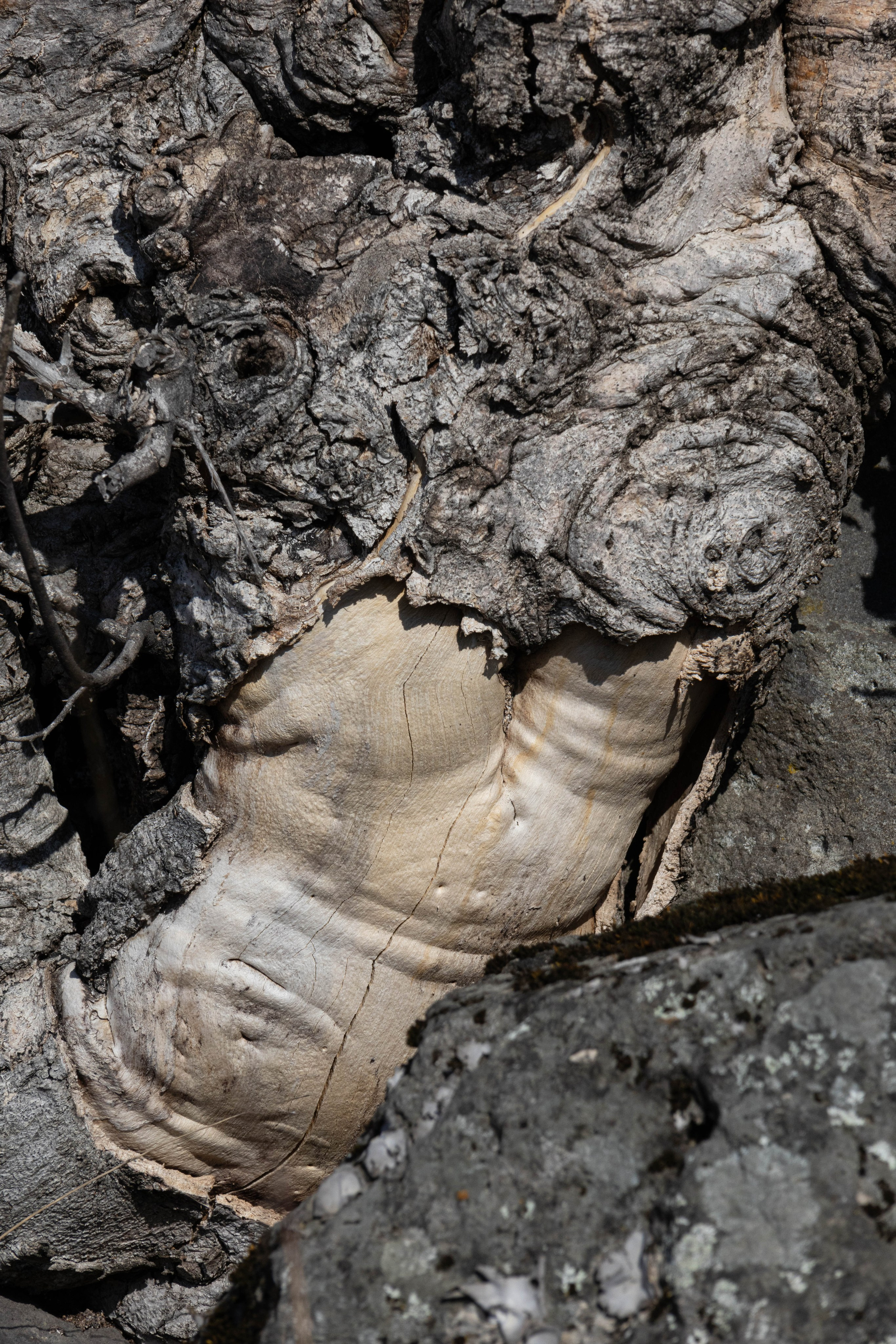 სამშვილდე. FramefreeMan