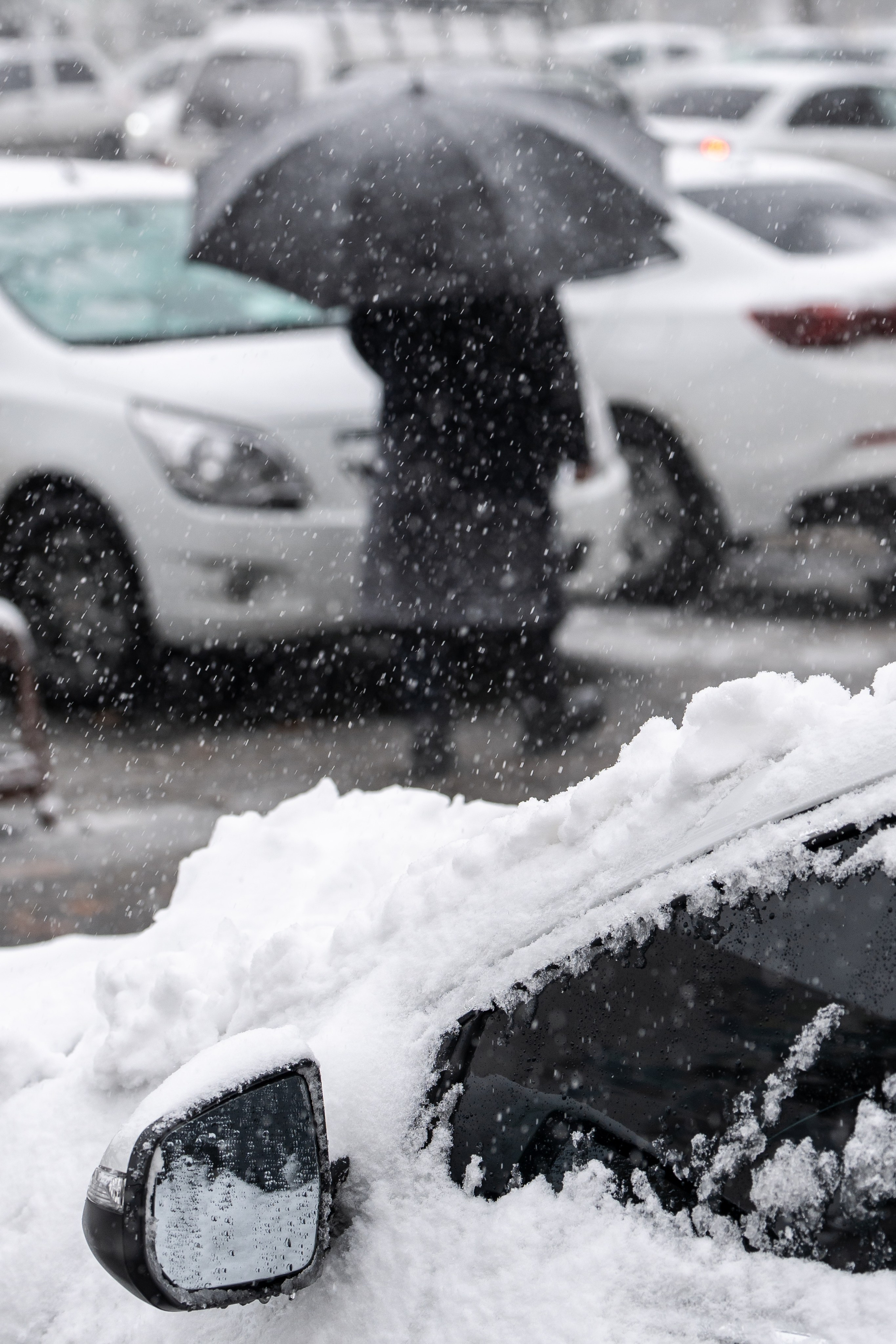 Снег. Георгий Намазов | Фотограф в Ташкенте