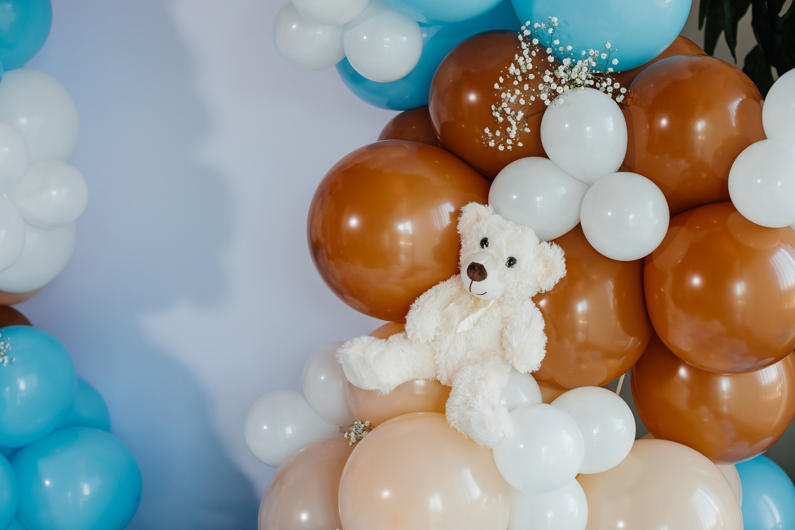 10.01.2022 Baby shower. Wedding family event photographer in Chicago Nick Yushevich