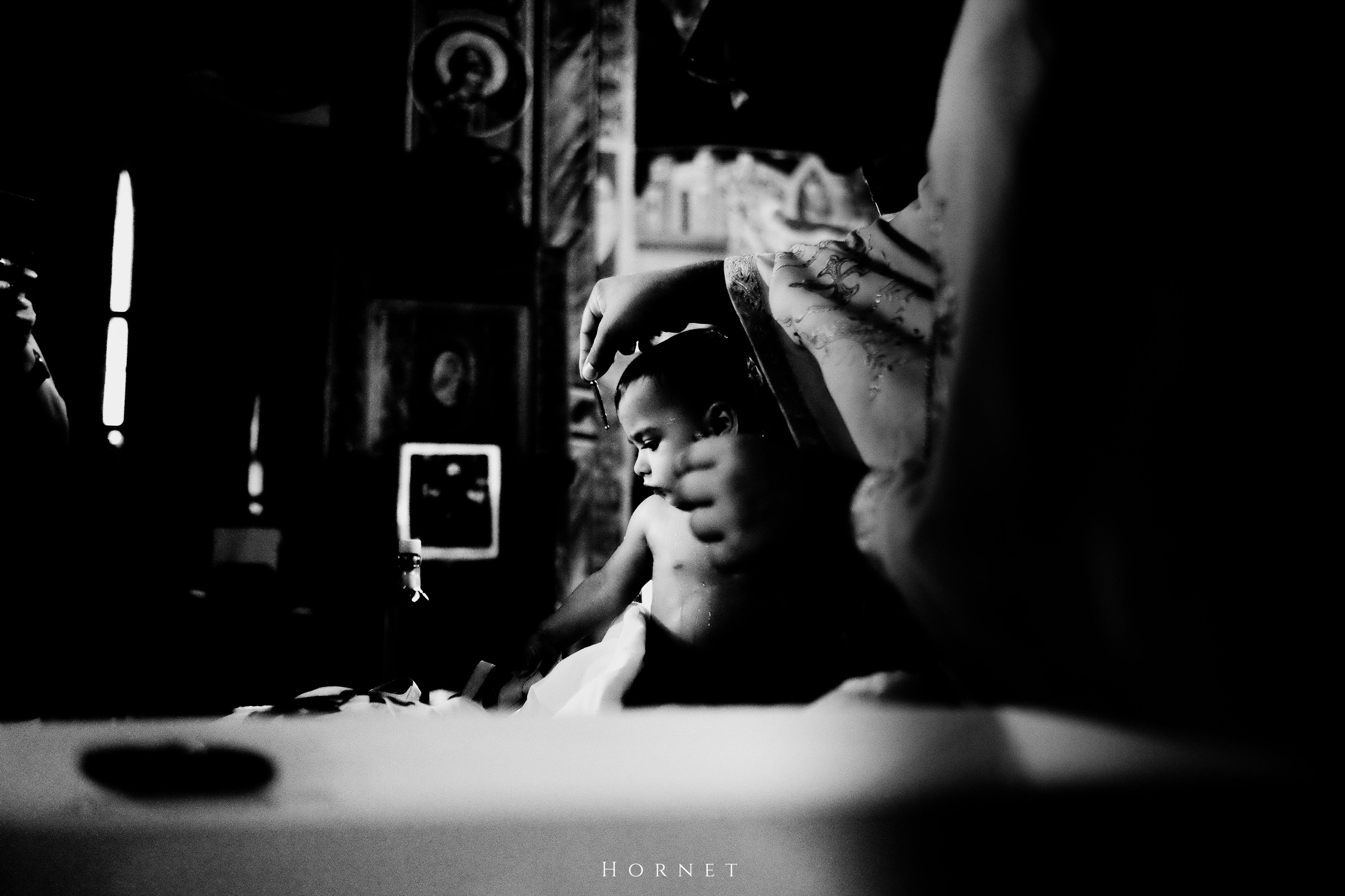 Emma Hazel. Hornetart