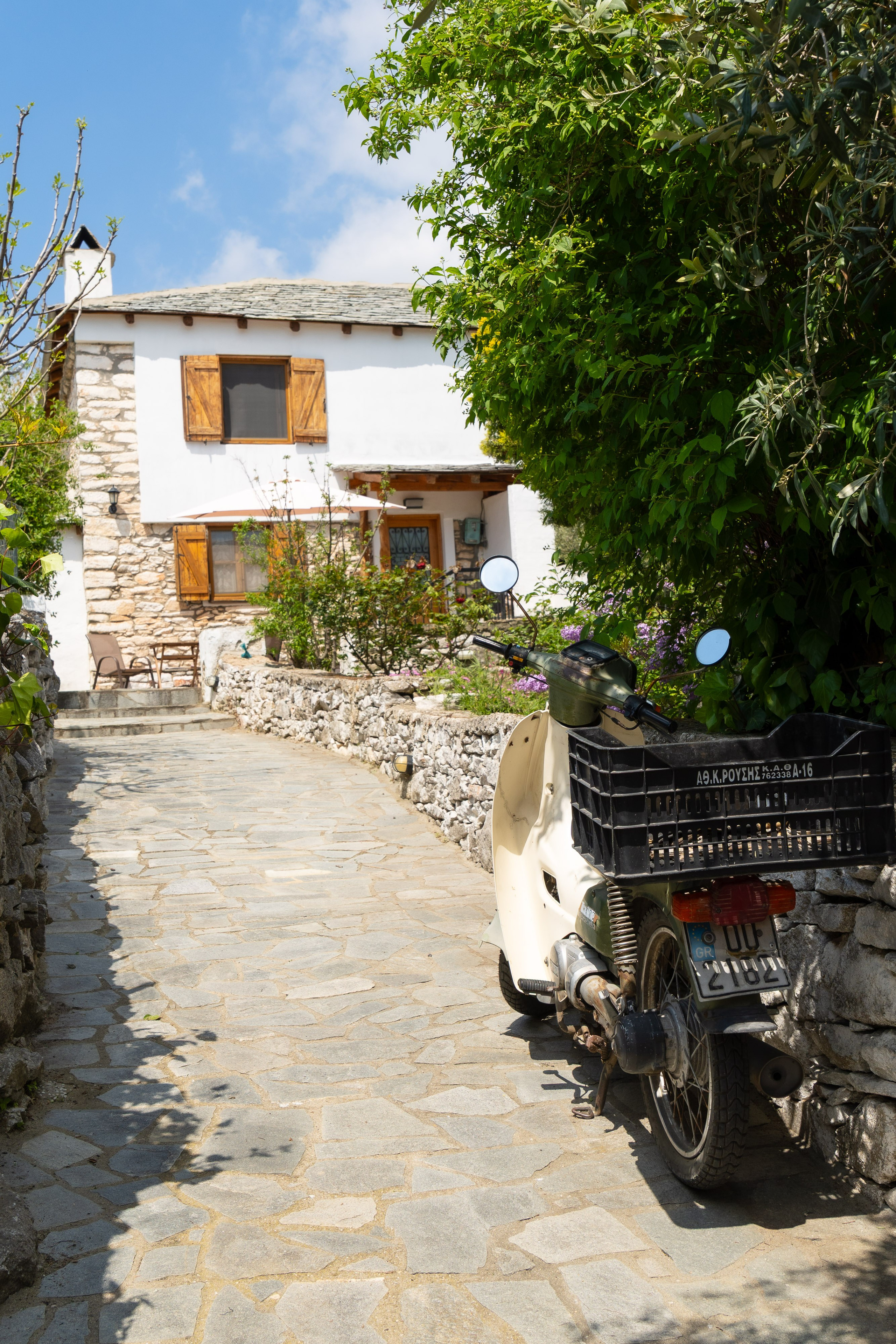 Thasos 2025. Fotografiideplacere.net