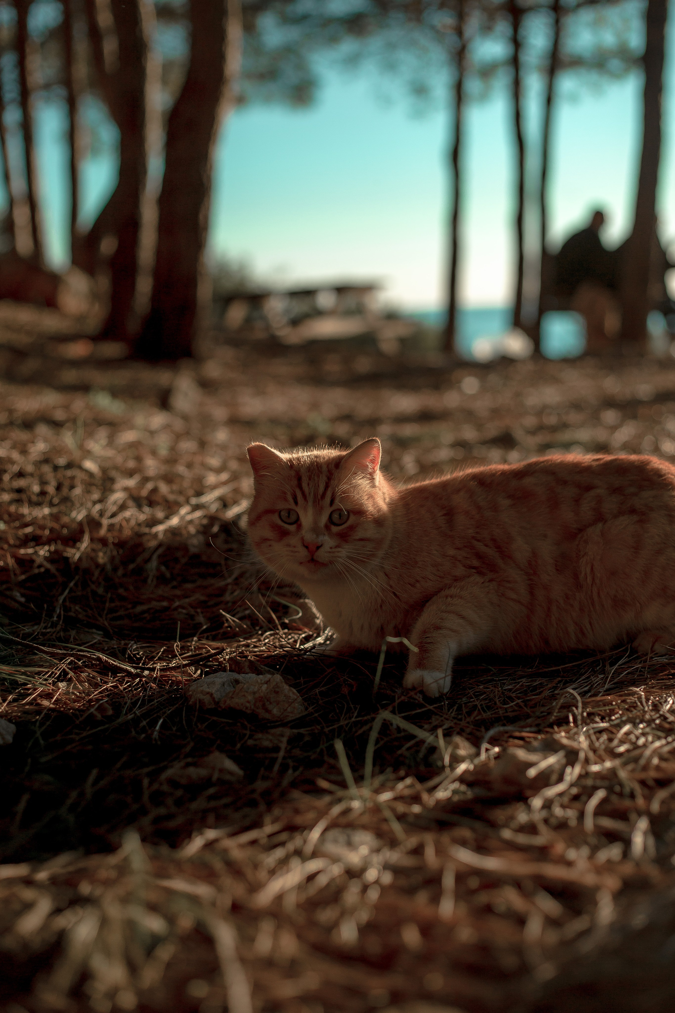 Turkey, Alanya. Art Photographer