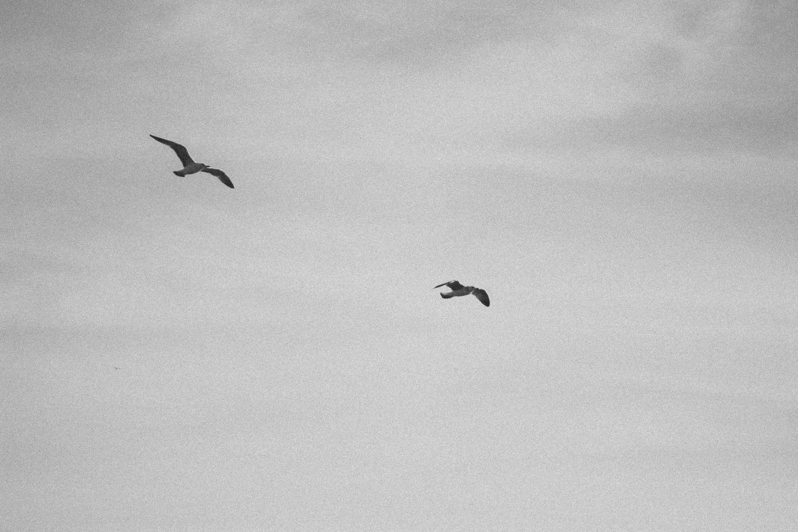 Photographe à la Seyne sur Mer, Var