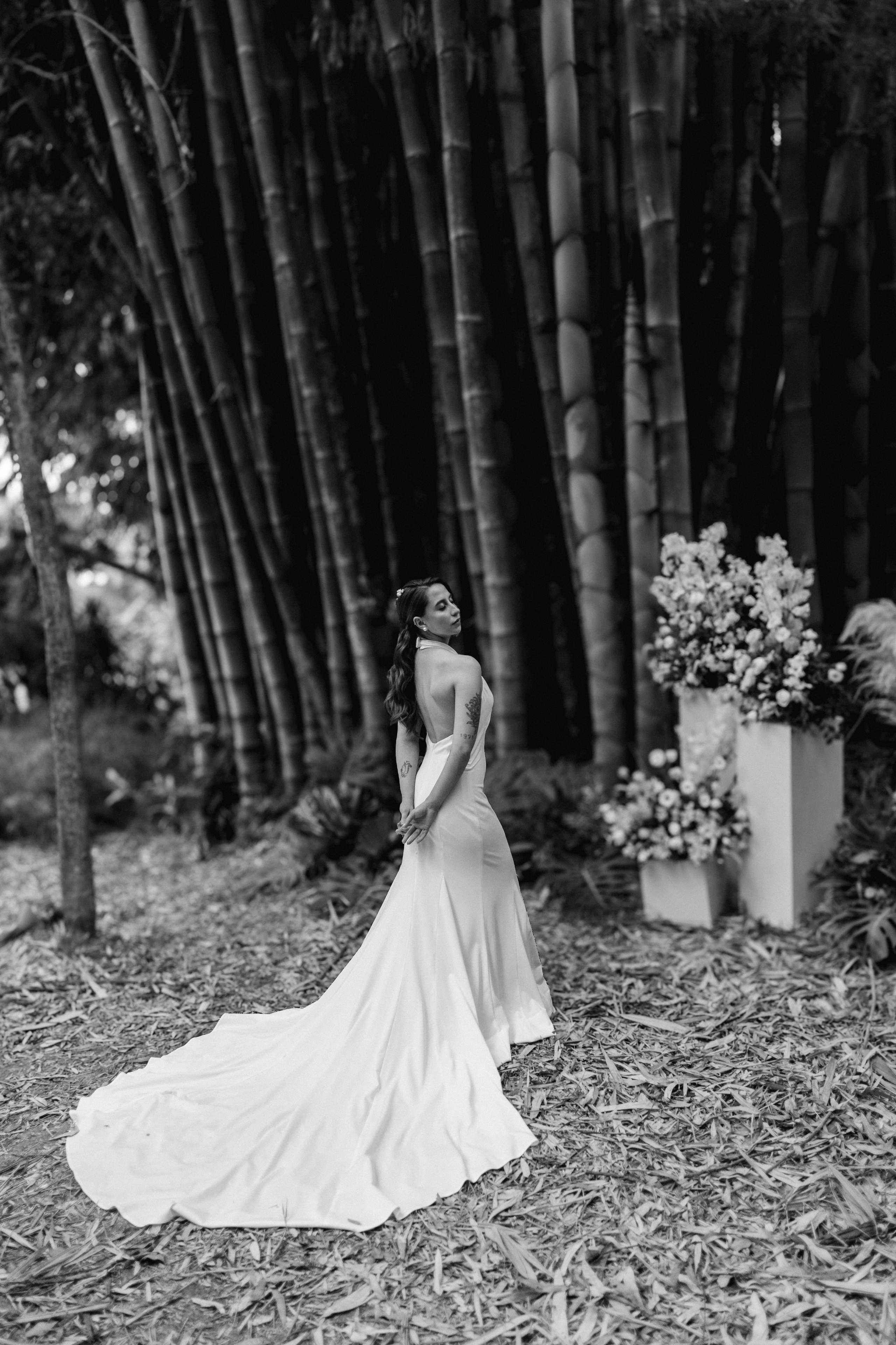 Editorial Dom Brunello