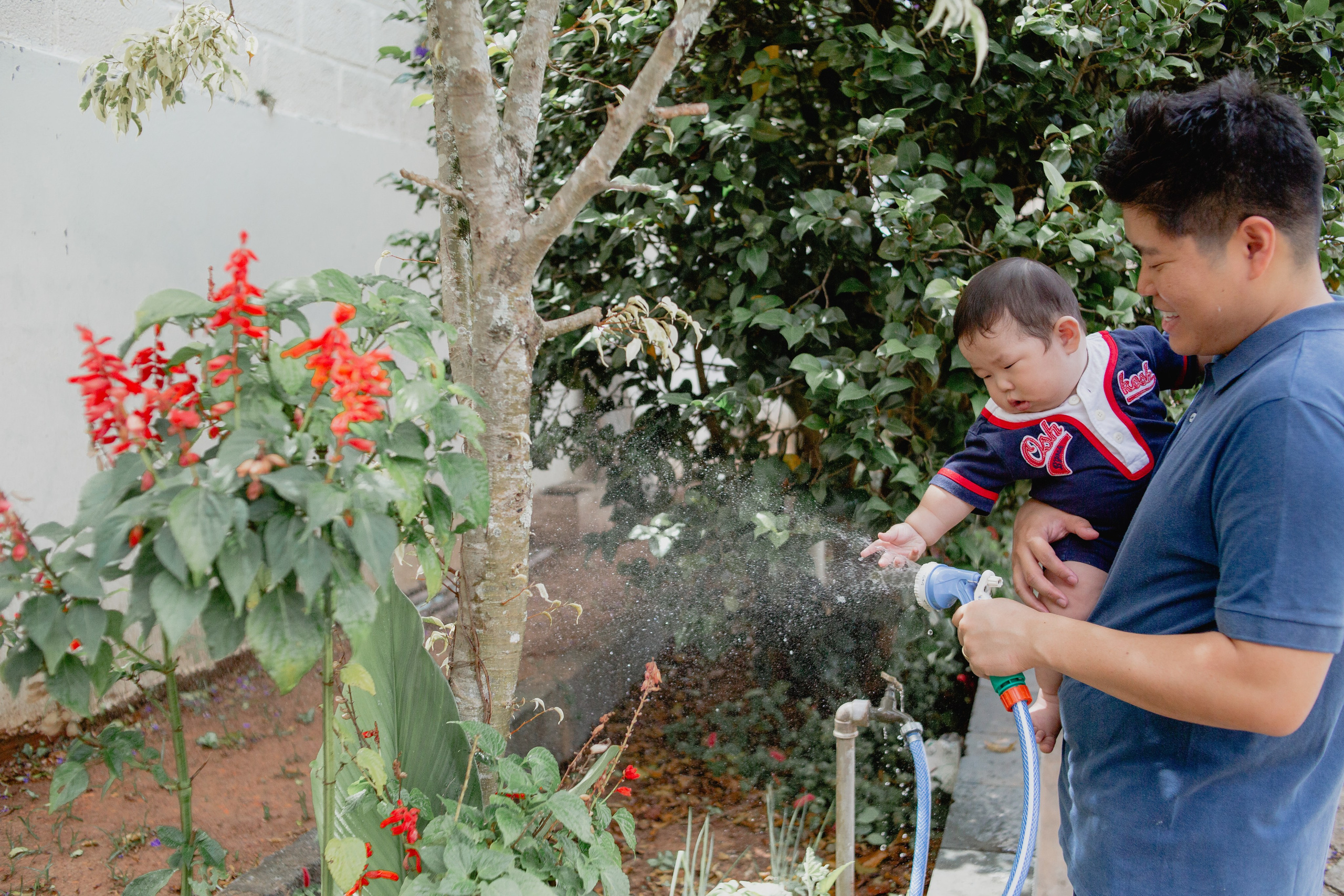Documental Família Shimizu