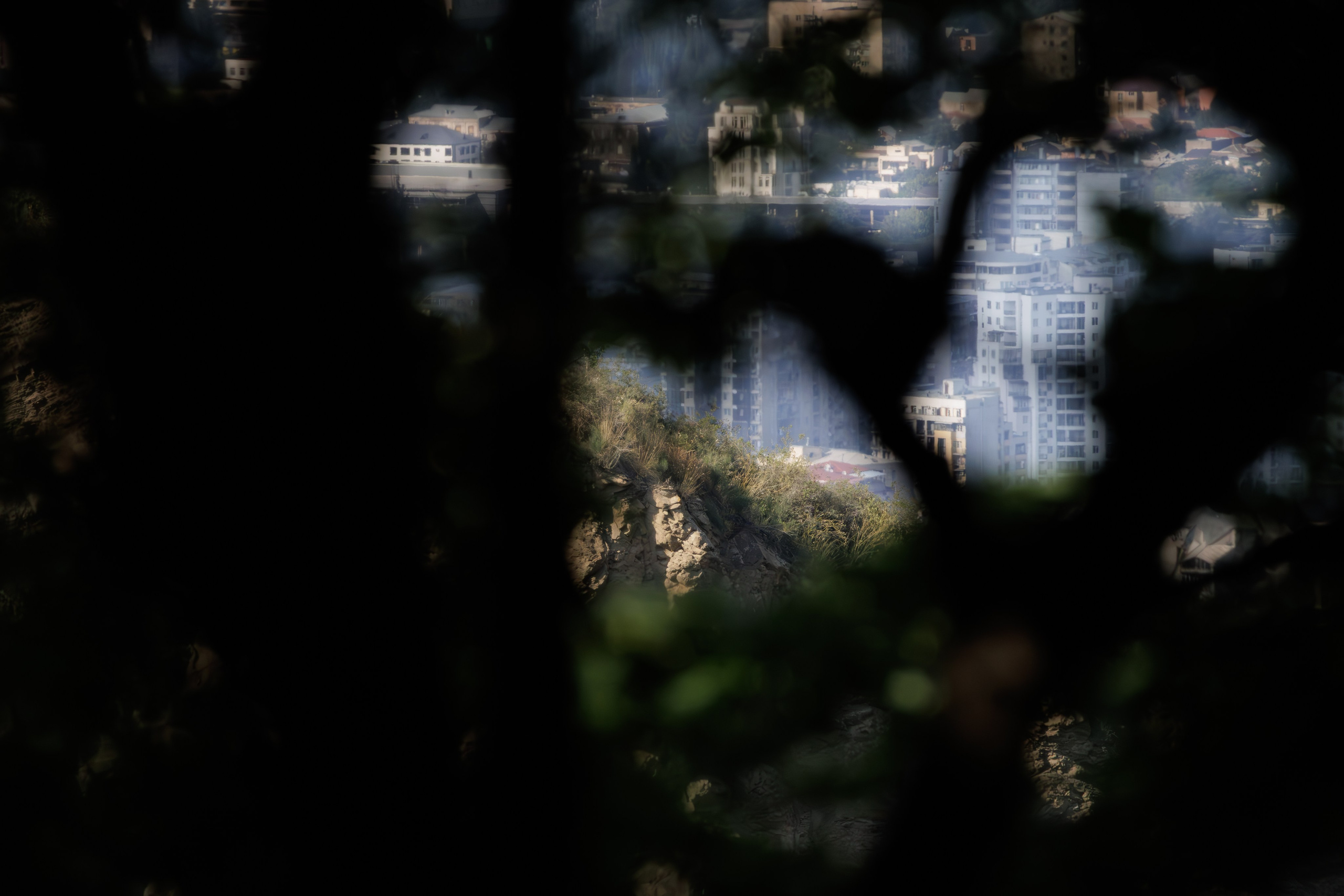 გასეირნება წავკისიდან ვაკის პარკამდე. FramefreeMan