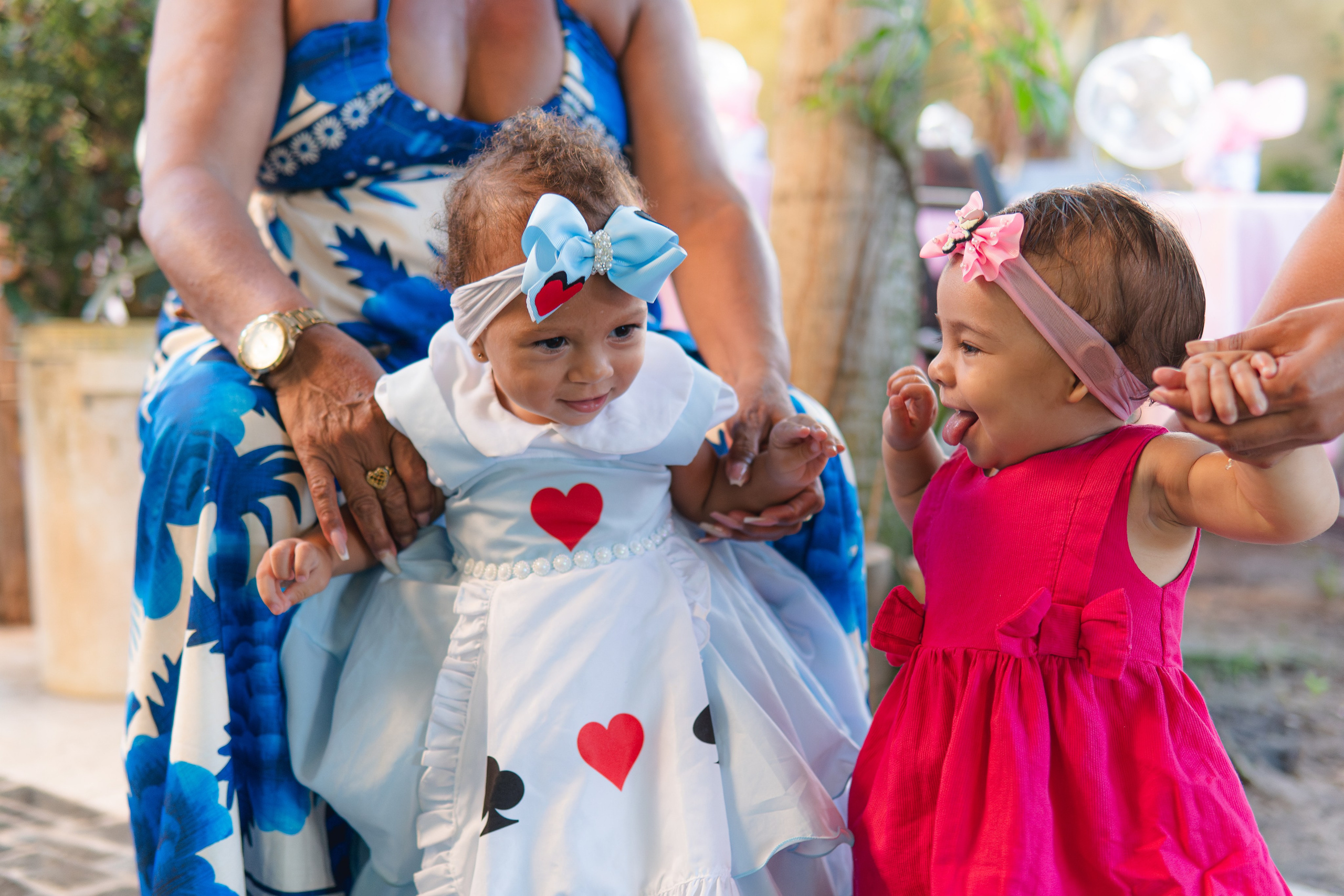 Festa Alicia