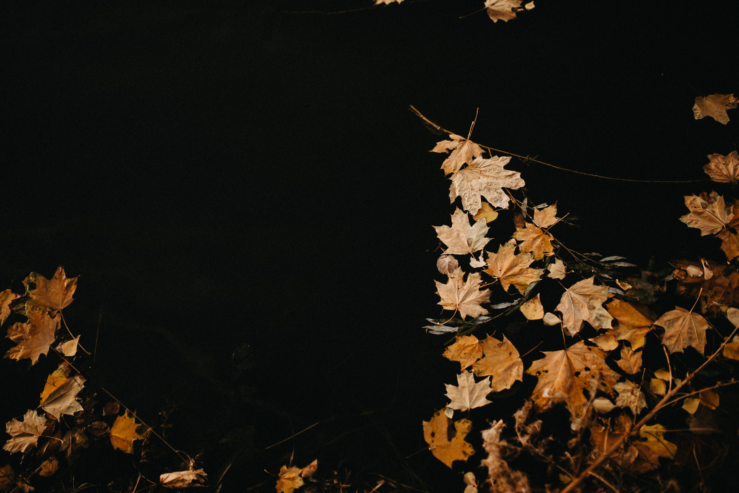 ДЕТИ СОЛНЦА. Мария Гуржеева