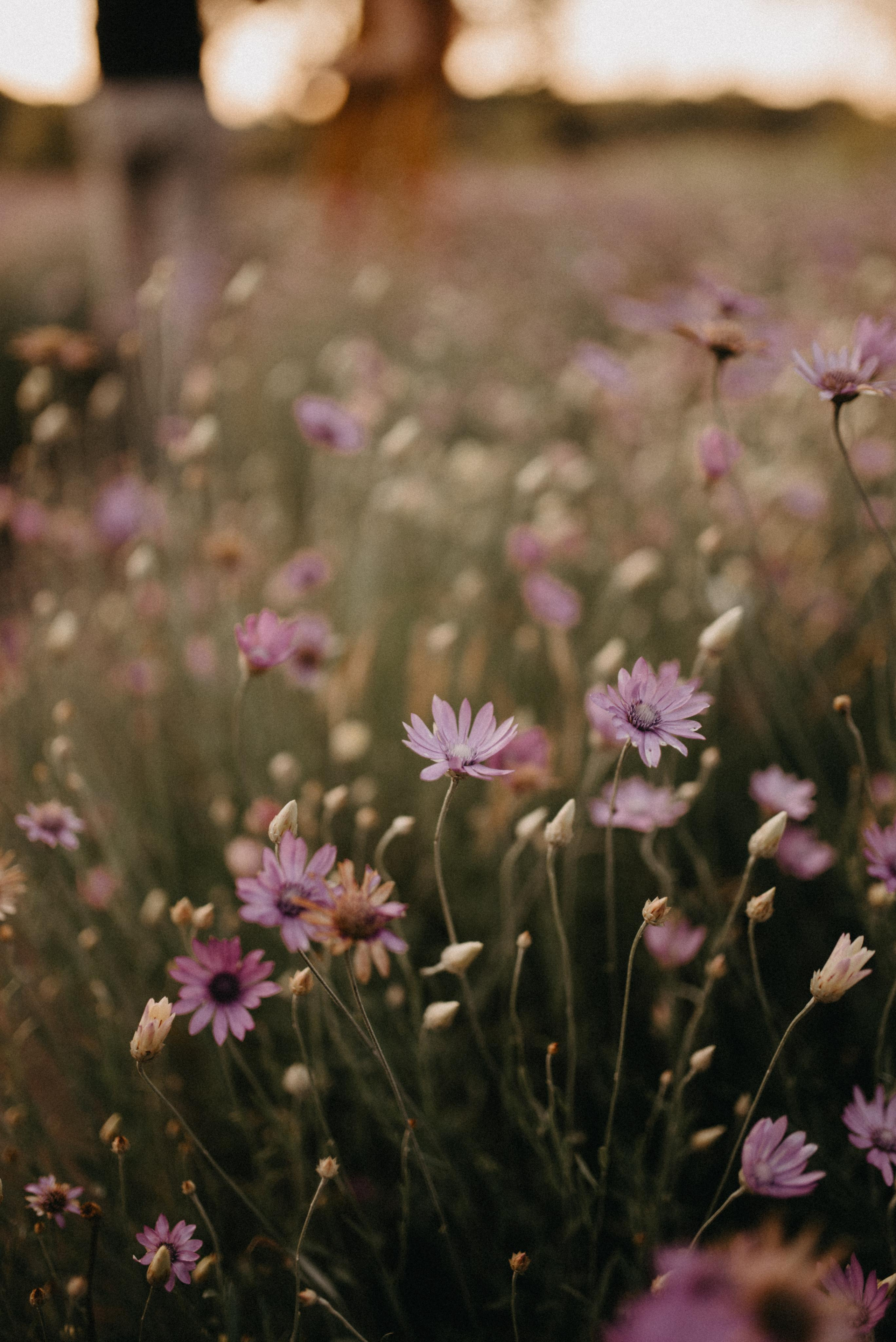 ТЫ ВЕРИШЬ В ЧУДО?. Мария Гуржеева