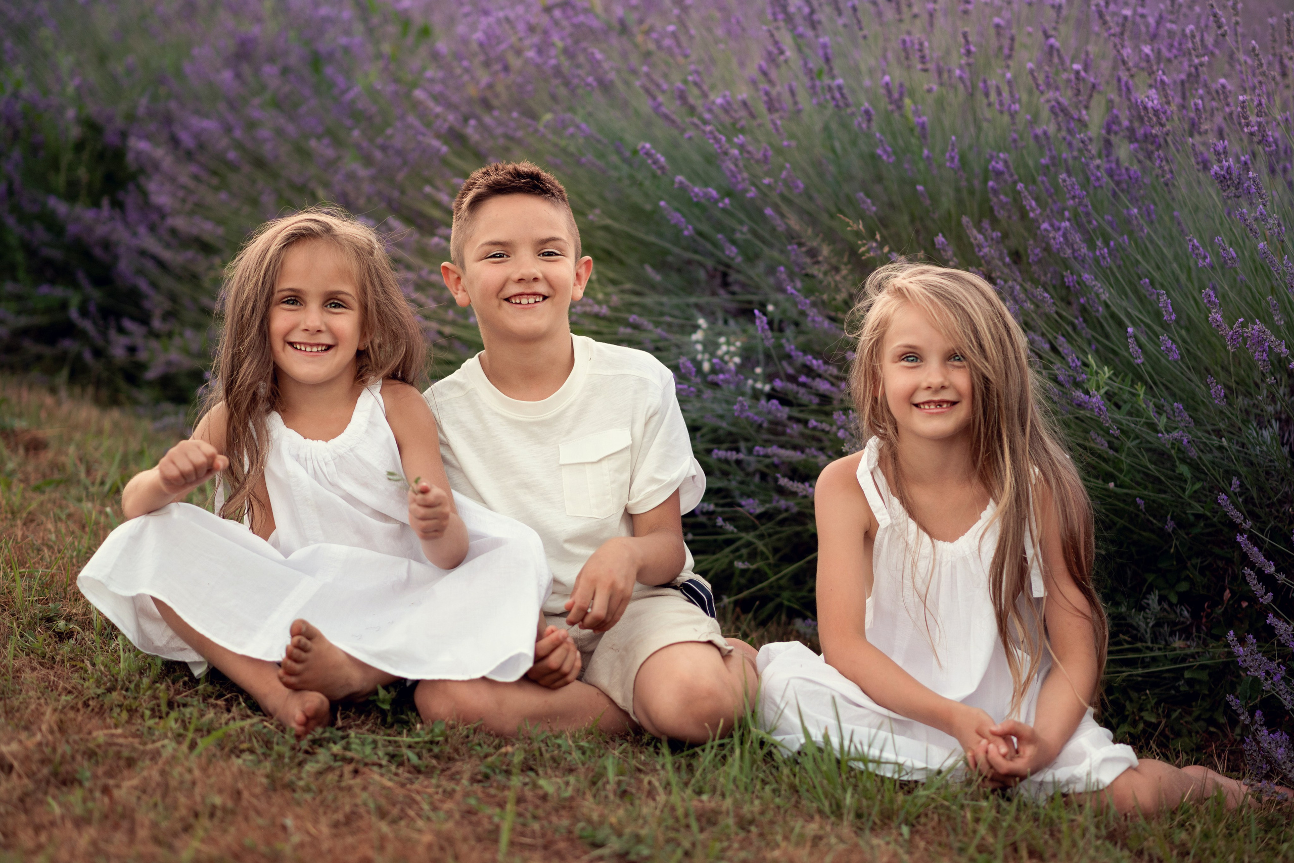 Lavanda. Uliana Radeka Fotograf